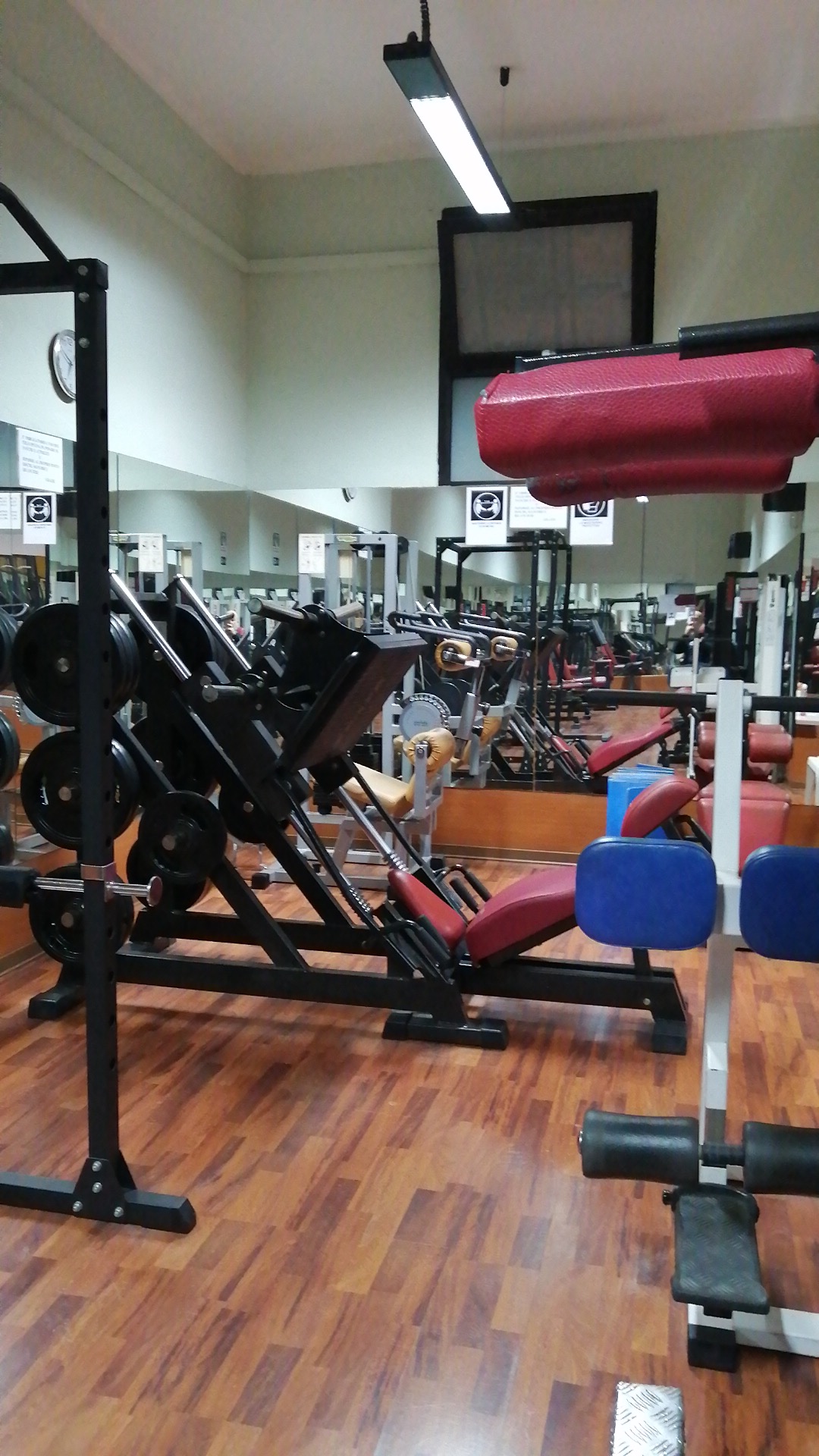 Palestra Body Heattli