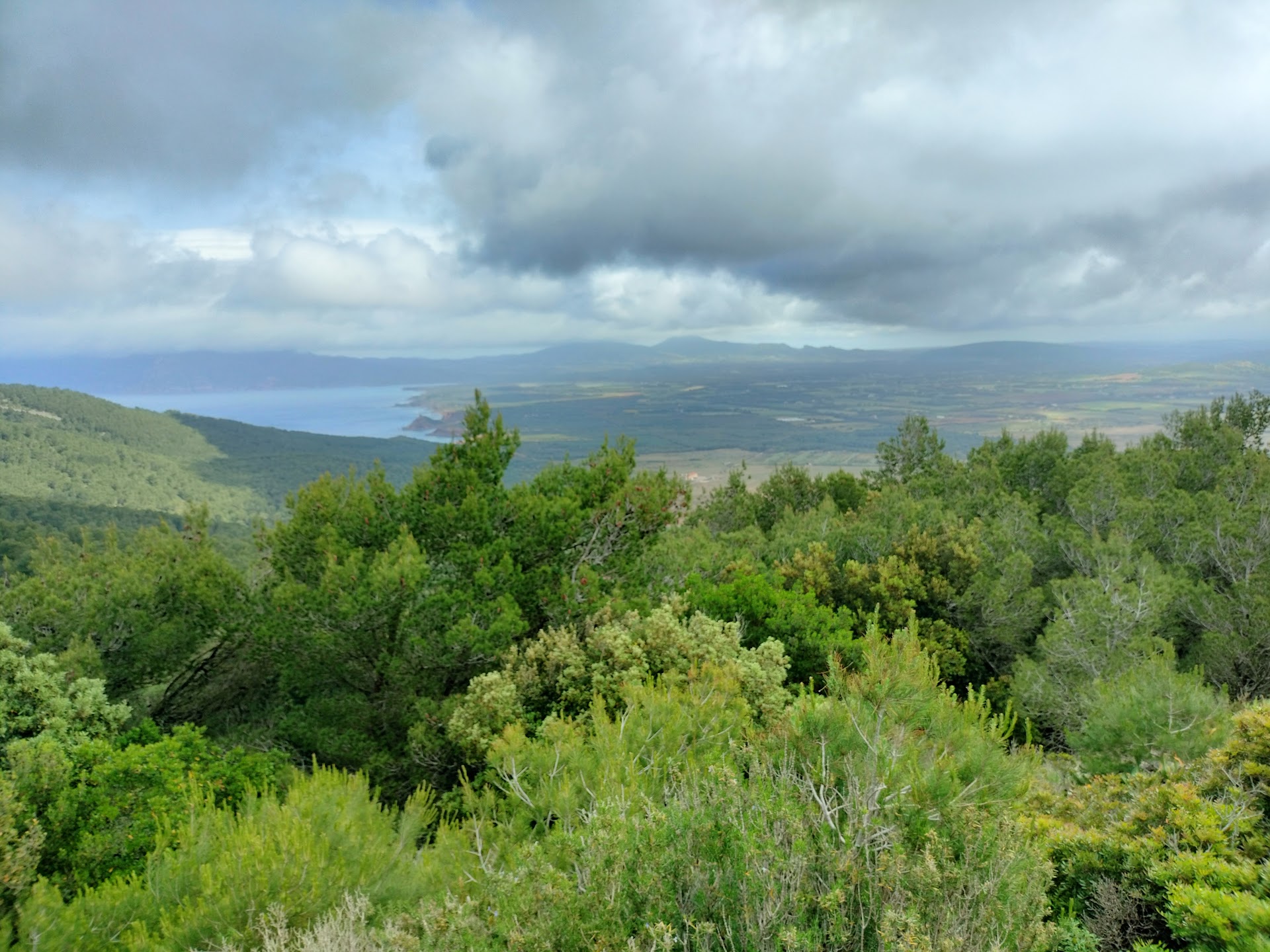 Foresta Demaniale di Porto Conte