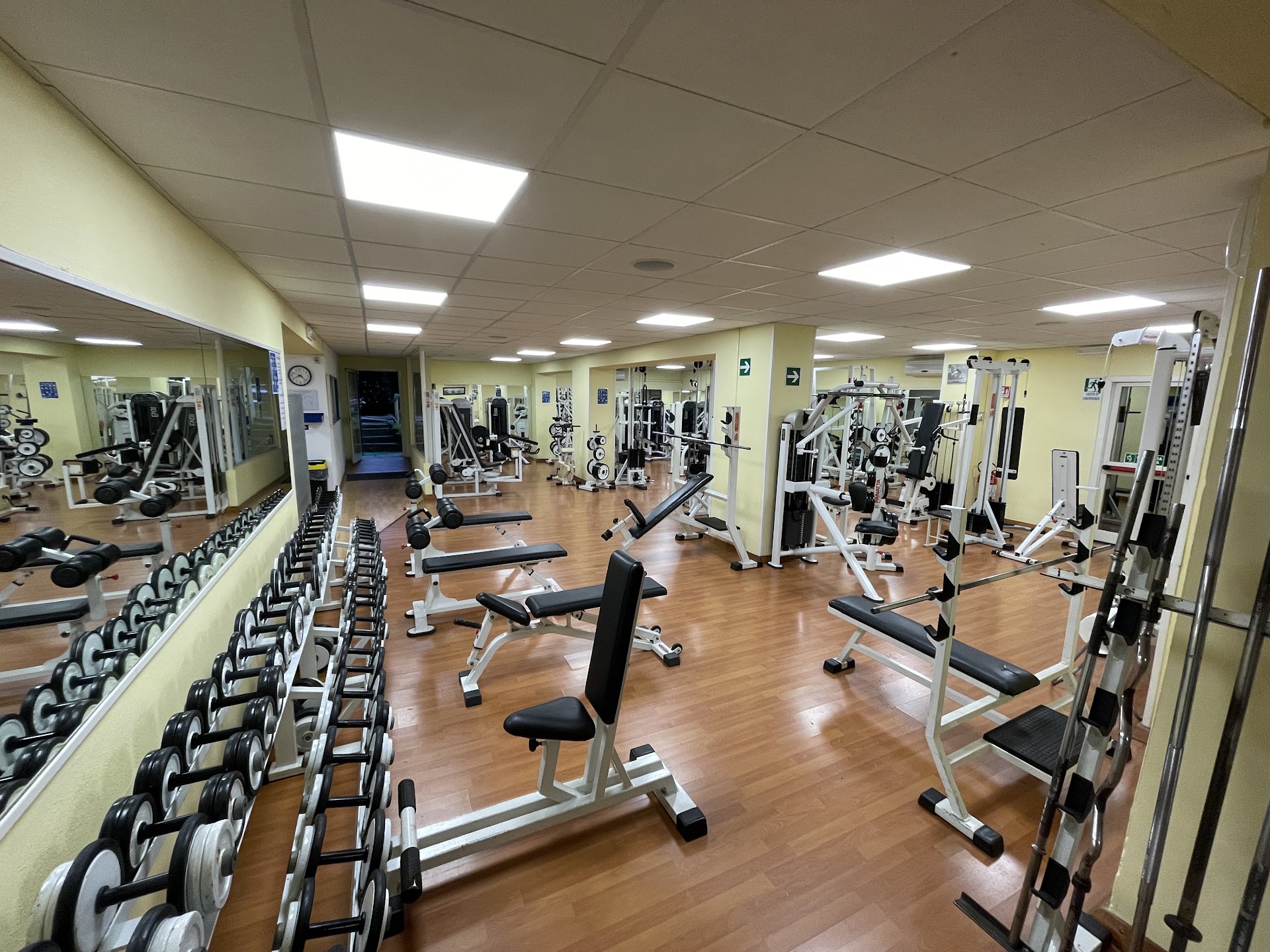 Palestra Dynamika