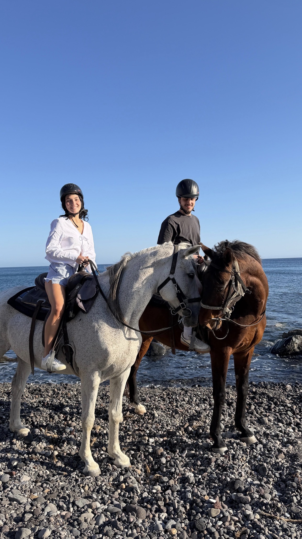 Roloas Riding Horse