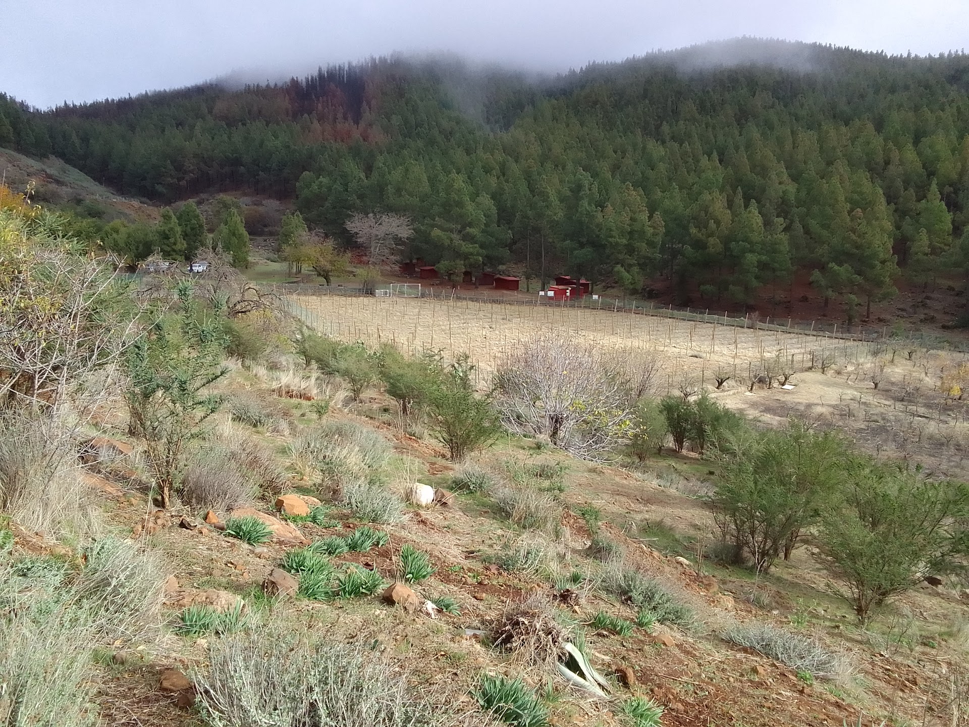 Cortijo de las Huertas