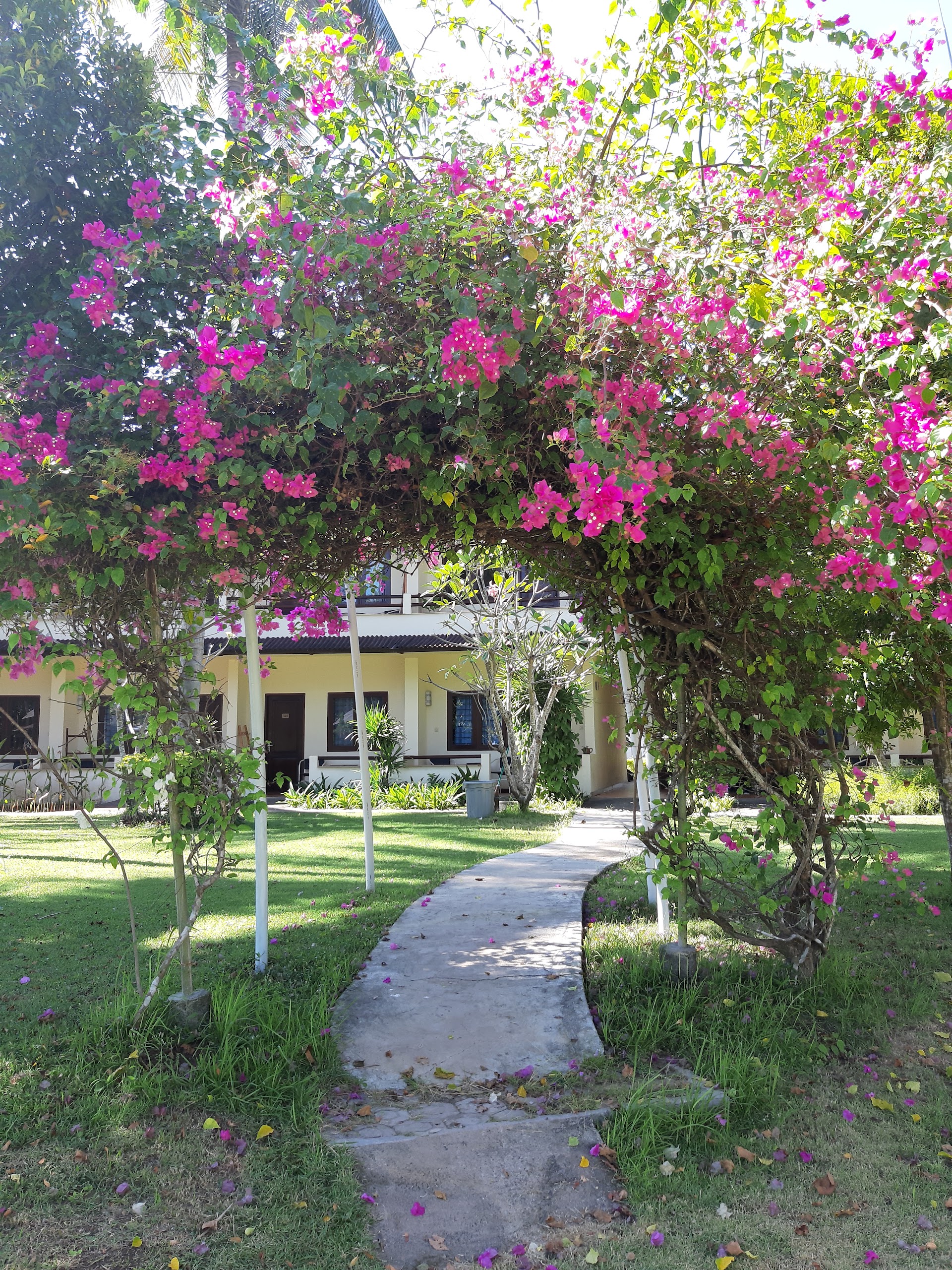 Medana Bay Marina