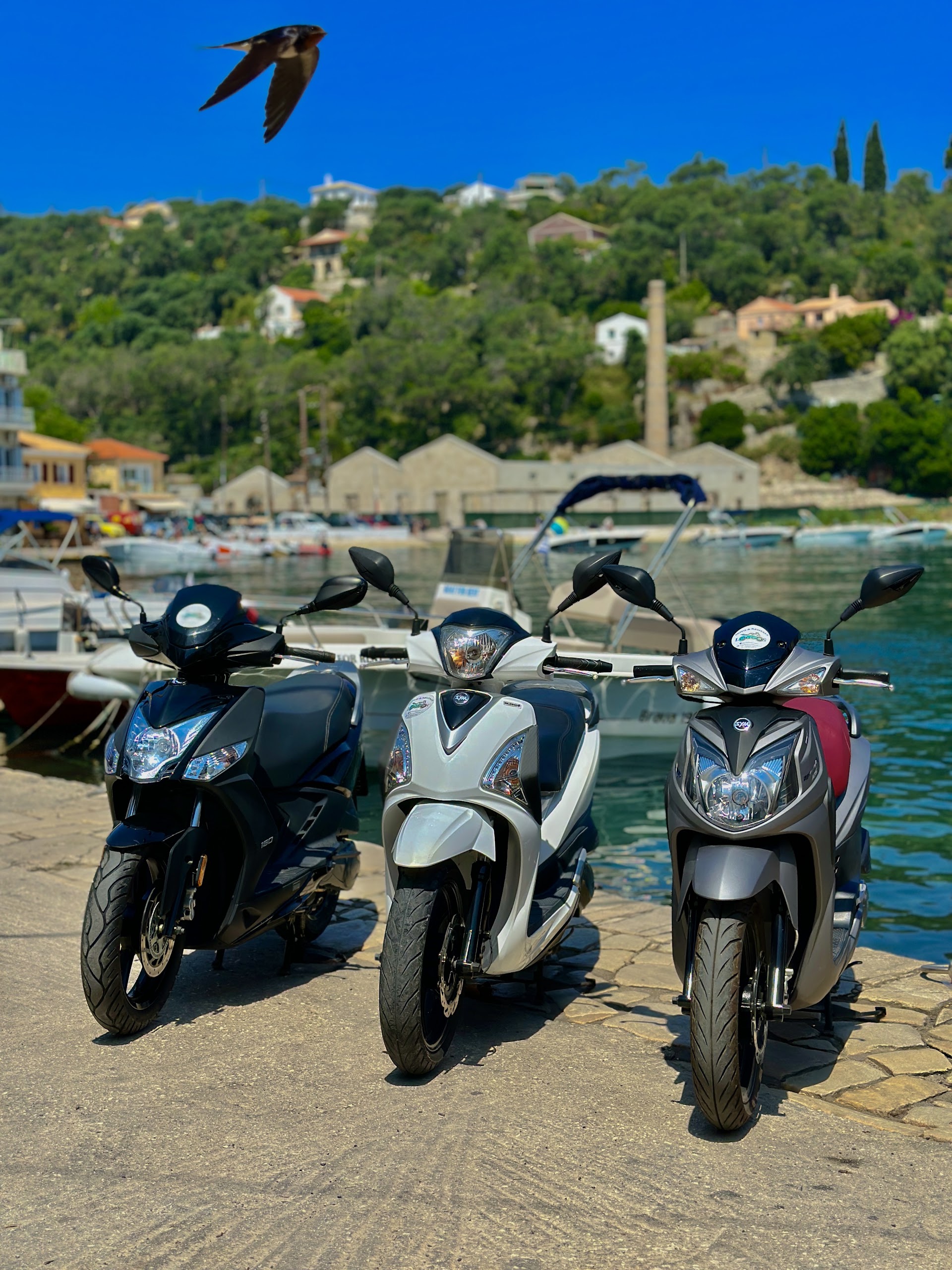 Moto & Rentals Loggos / Scooter Rental / Paxos