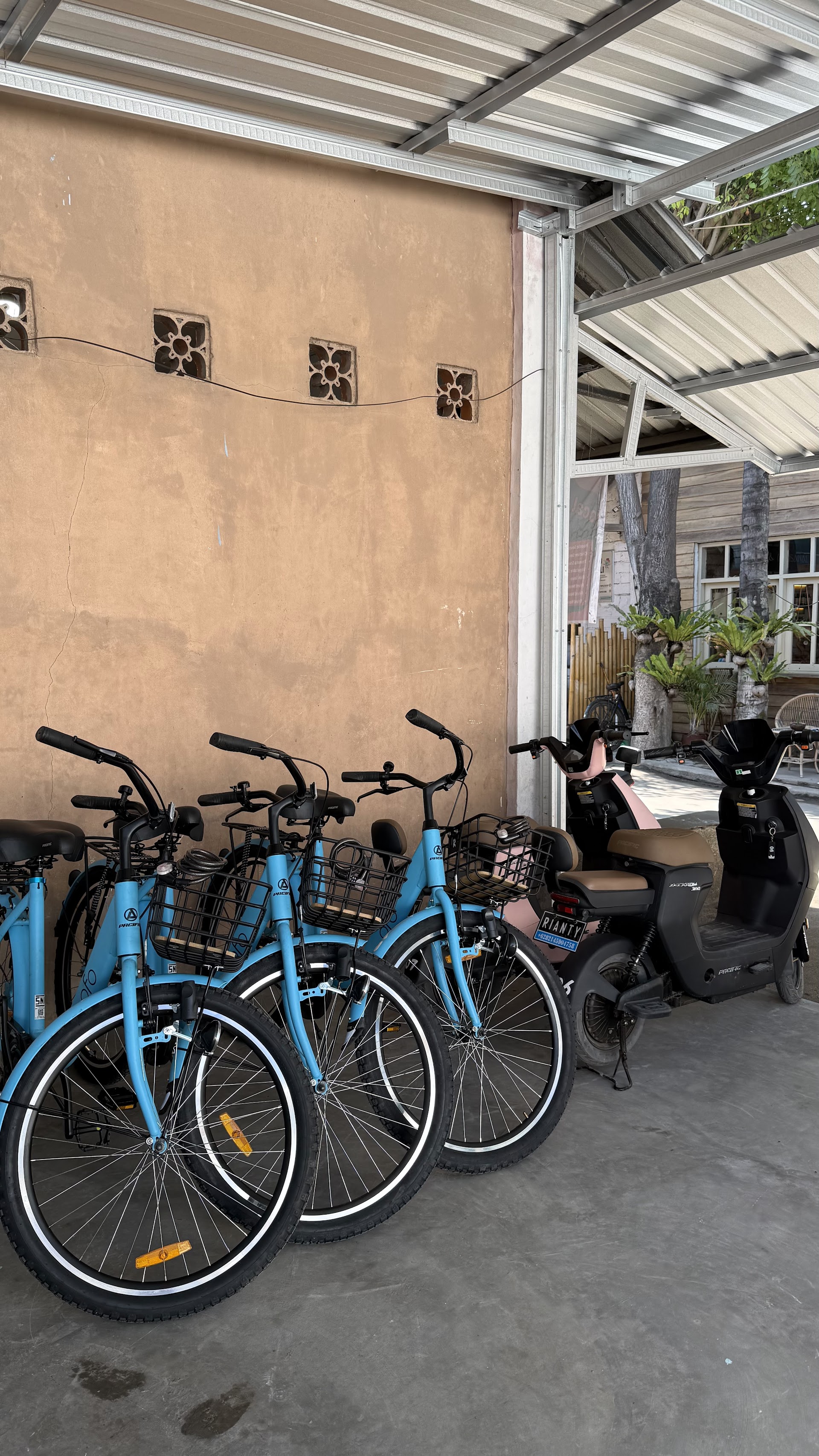Rianty RENT BIKE & SCOOTER