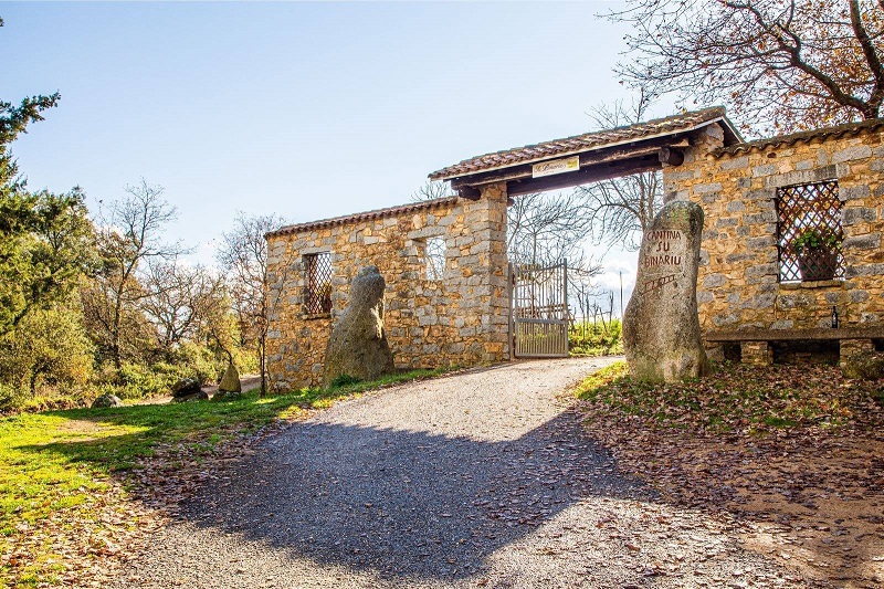 Cantina Su Binariu | Vendita Vino Imbottigliato & Degustazioni | Vini DOC Mandrolisai