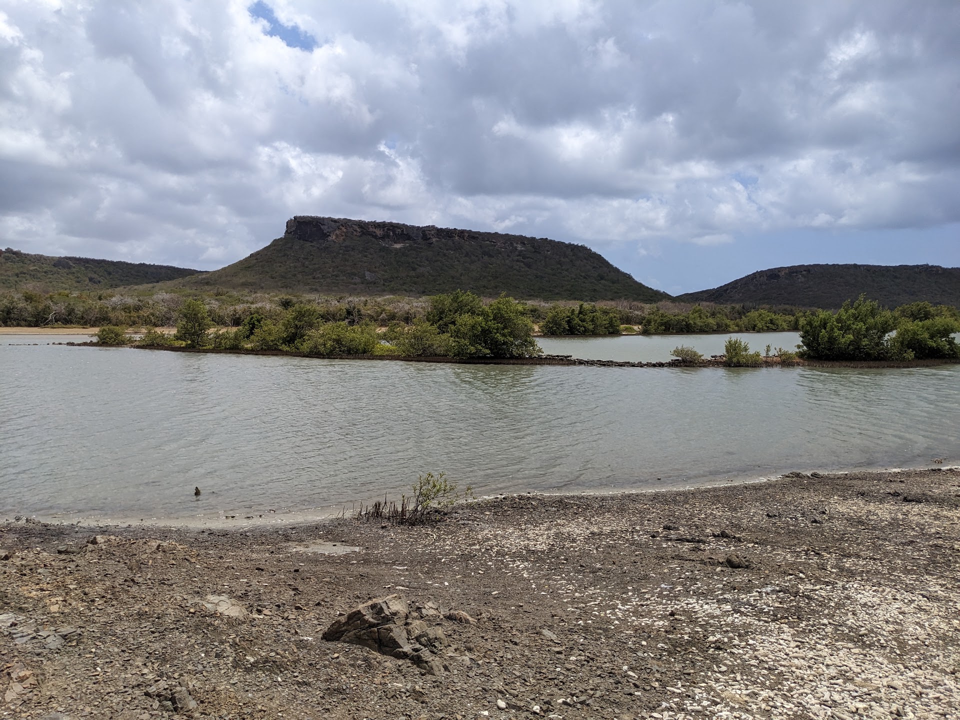 Salt Lake Willibrordus