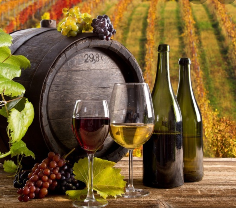 Vino e Delizie