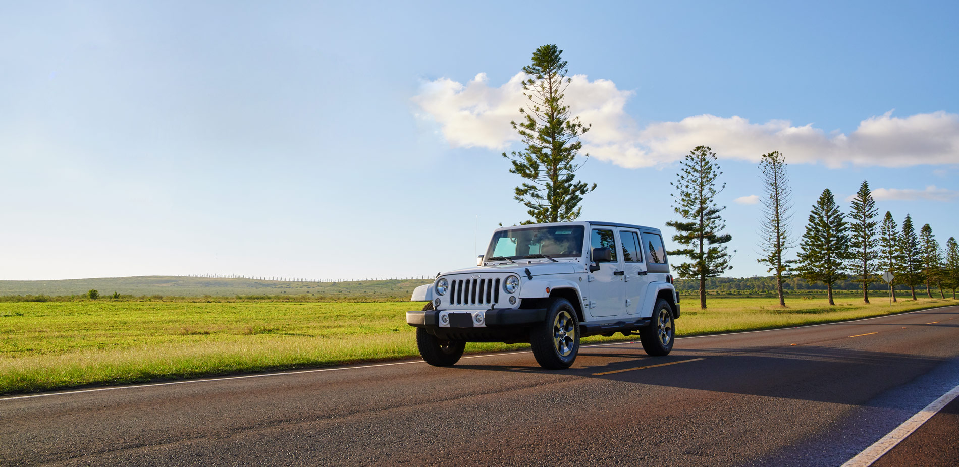 Aloha Lanai Rentals