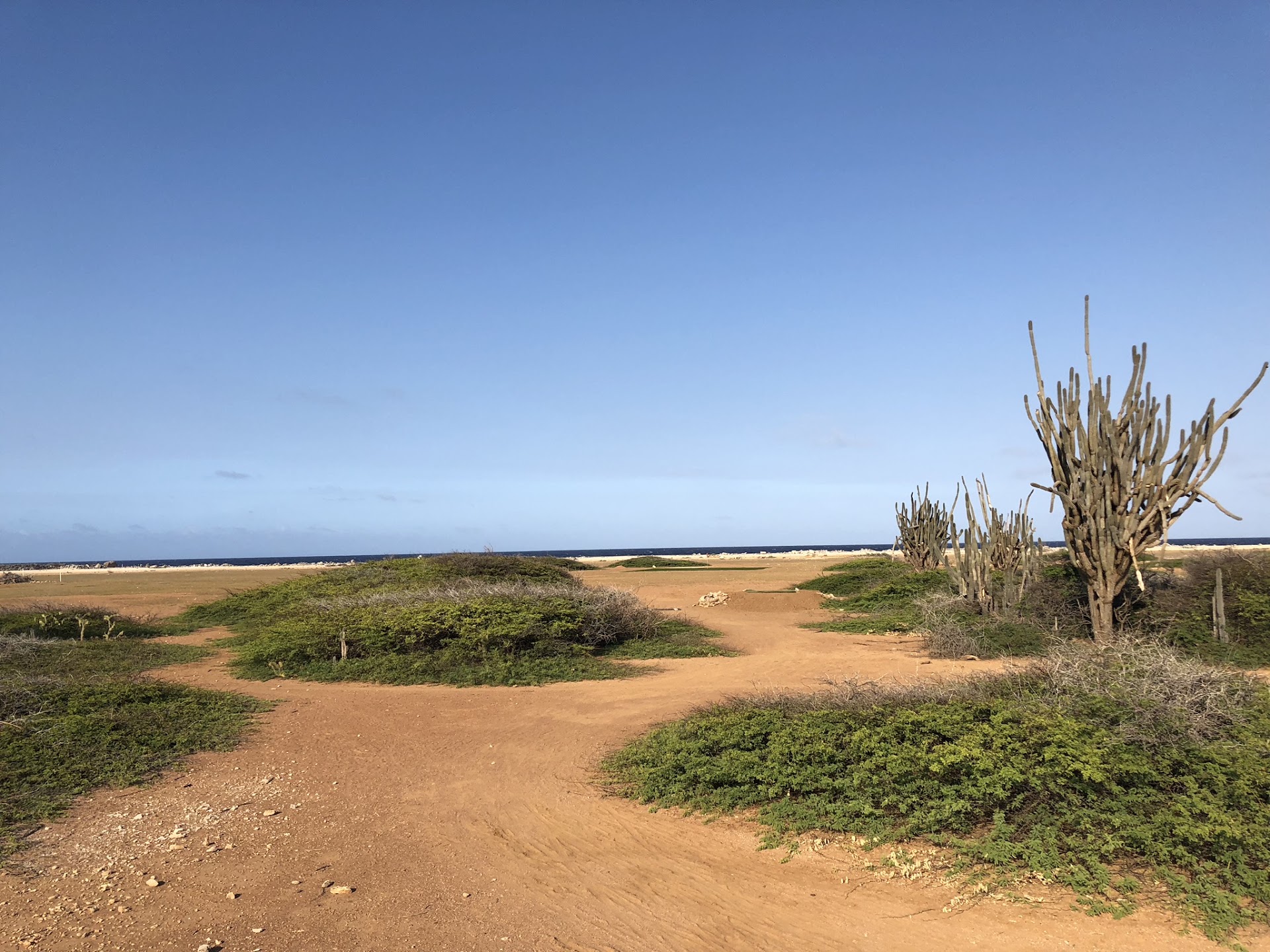 Bonaire Golf
