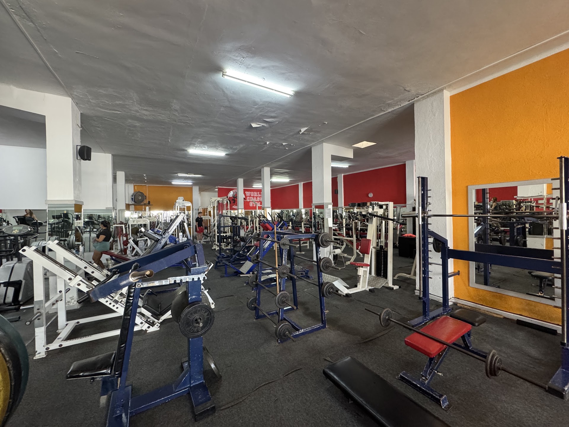 World Class Gym Sl