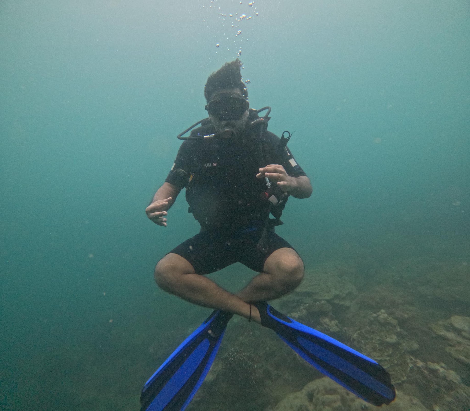 Blue Coral Diving