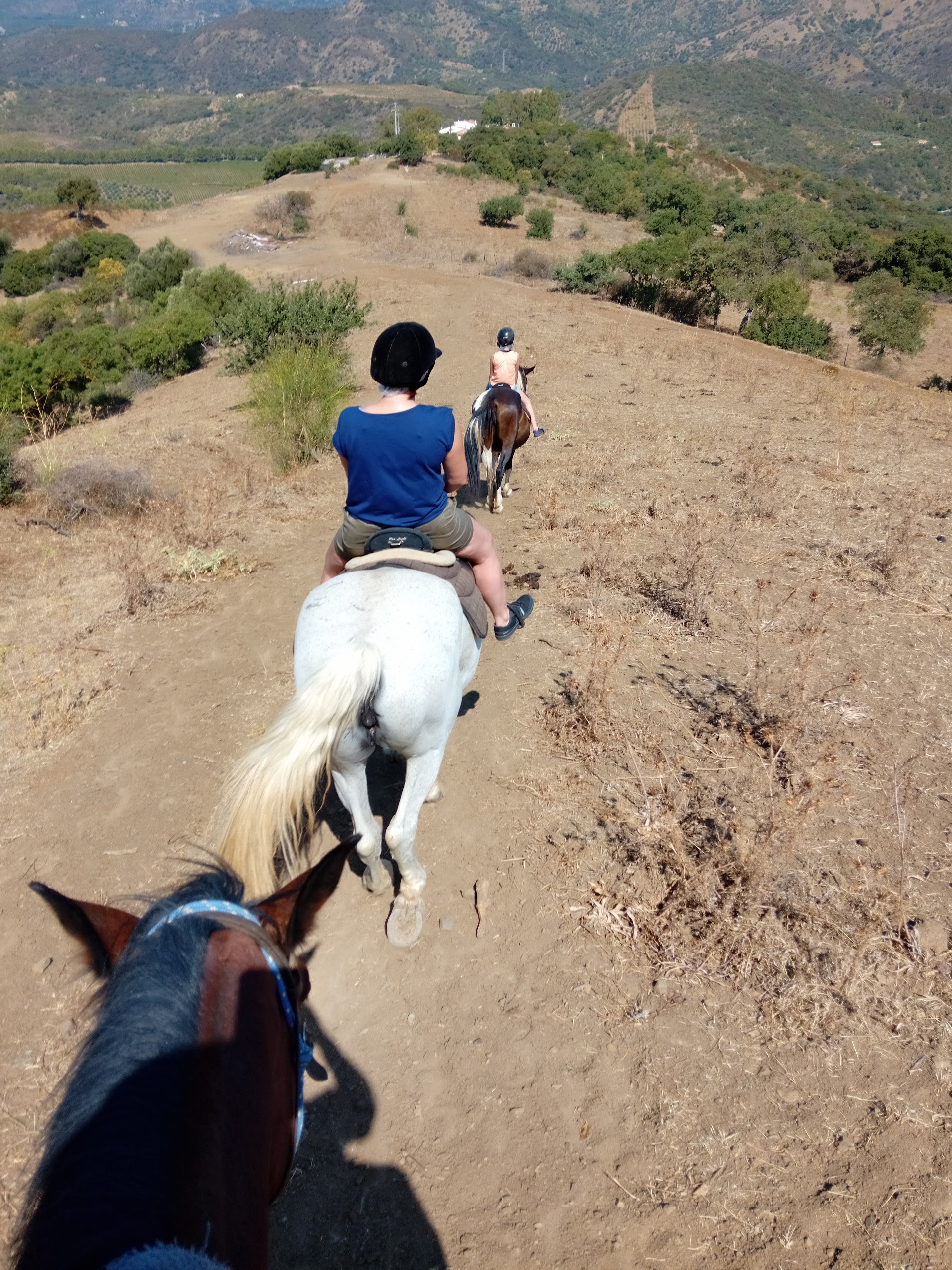 Sicily Horse Tours