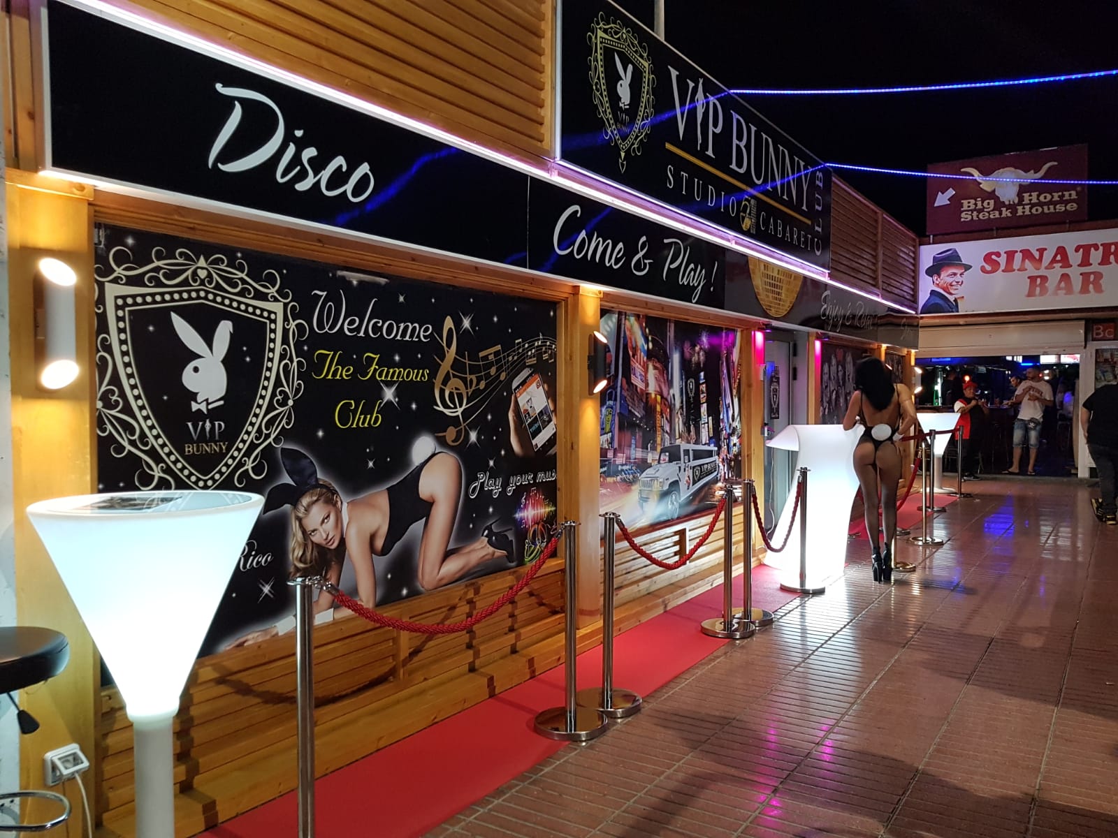 Vip Bunny Puerto Rico