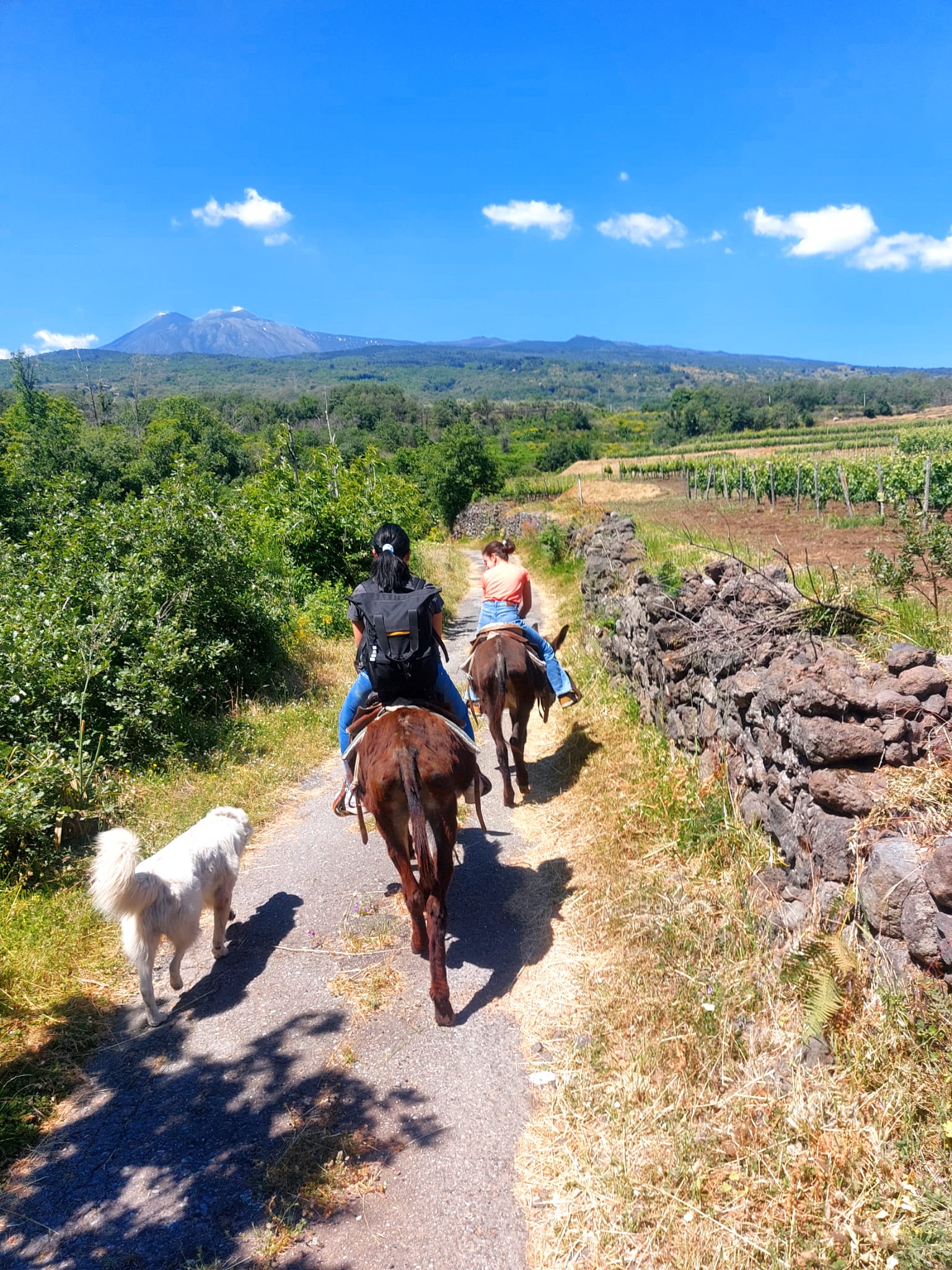Etna Donkey Trekking