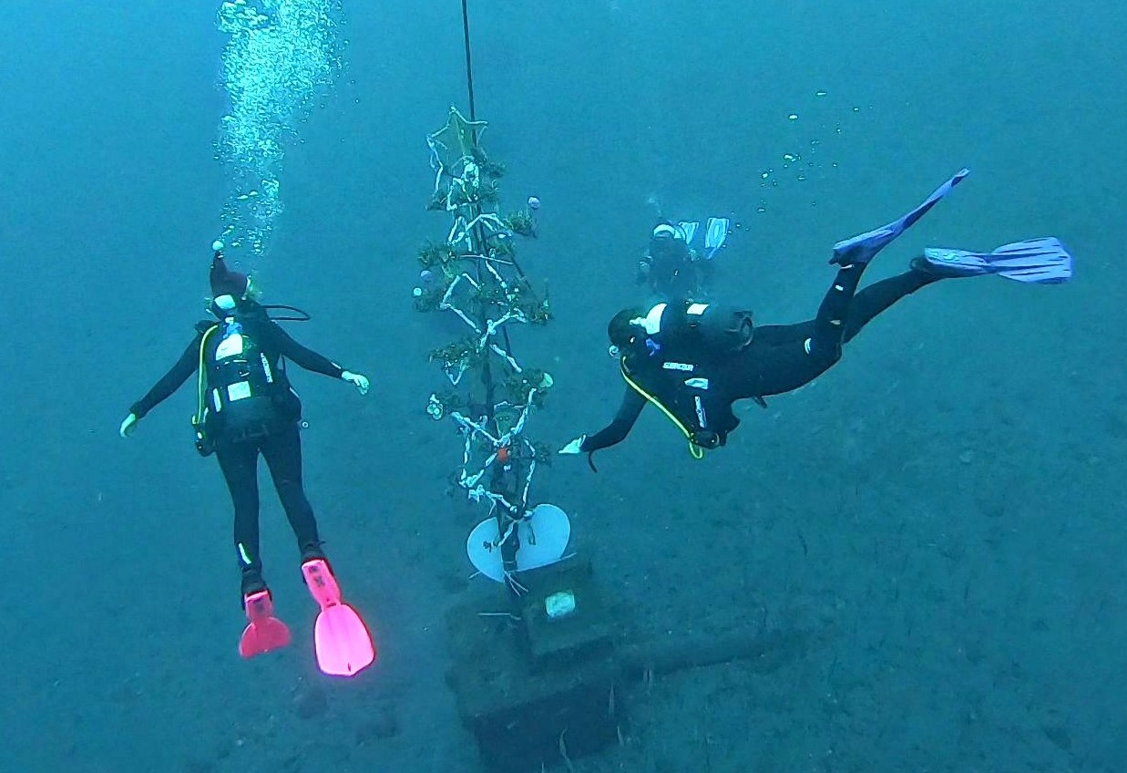 Club de Buceo El Pejín
