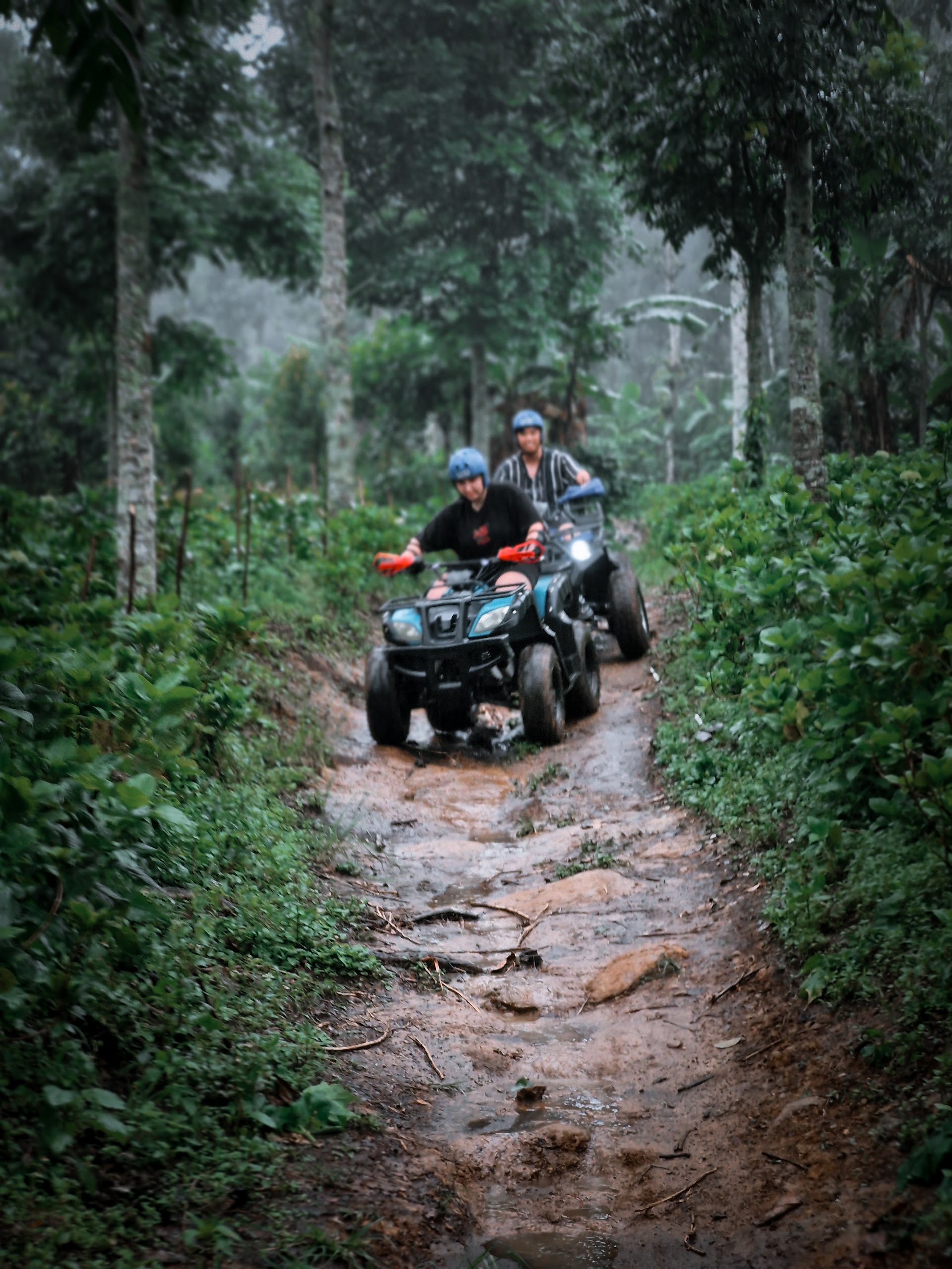 Wanagiri Bali ATV Fun & Adventure