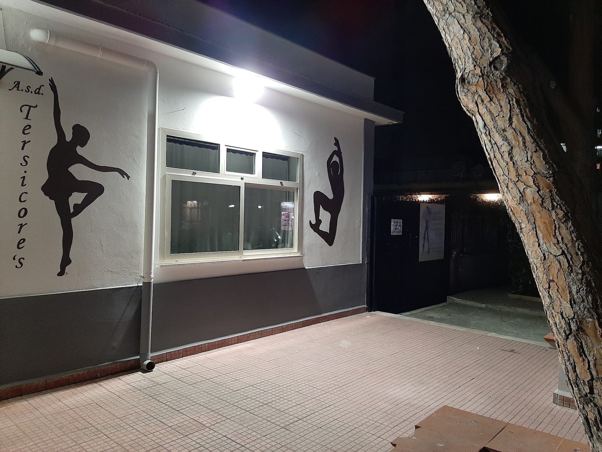 Scuola Di Danza ASD Tersicore 's | Danza Classica, Contemporanea e Moderna - Ginnastica posturale - Pilates - Gioco Danza