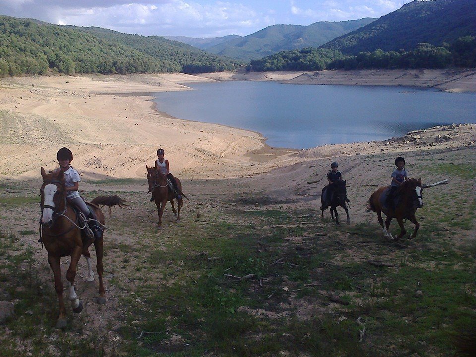 Centro Equestre Taloro
