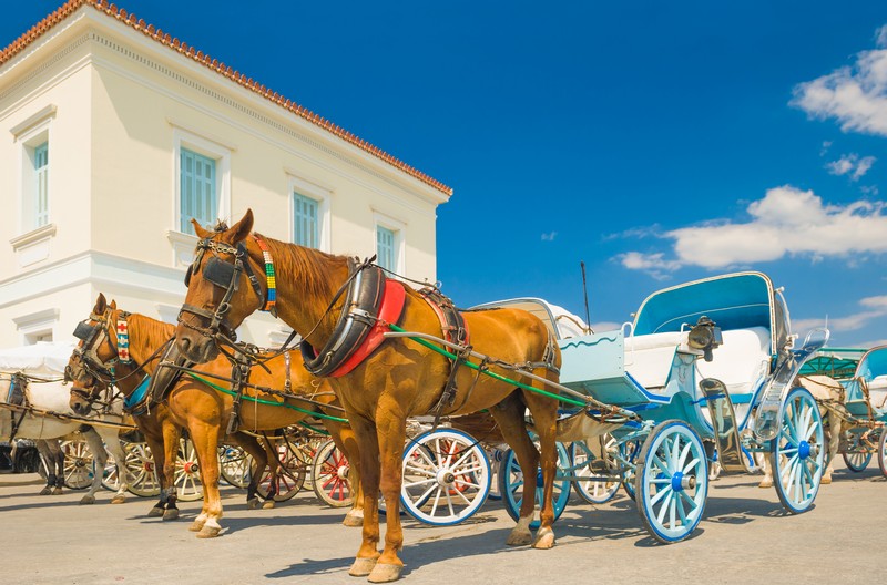 Horse Carriages Dapia Port