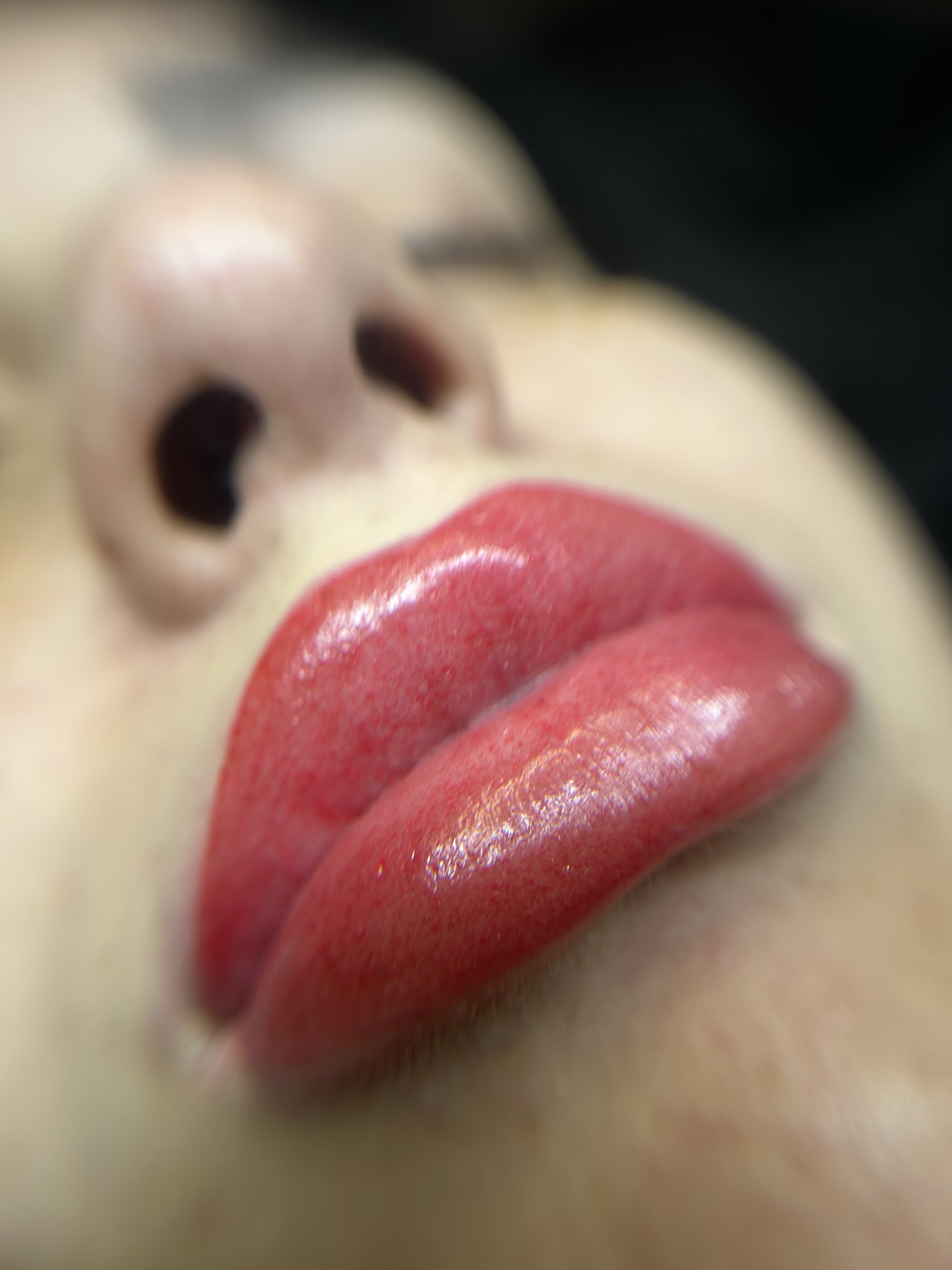 Noemi Airó Beauty Lab
