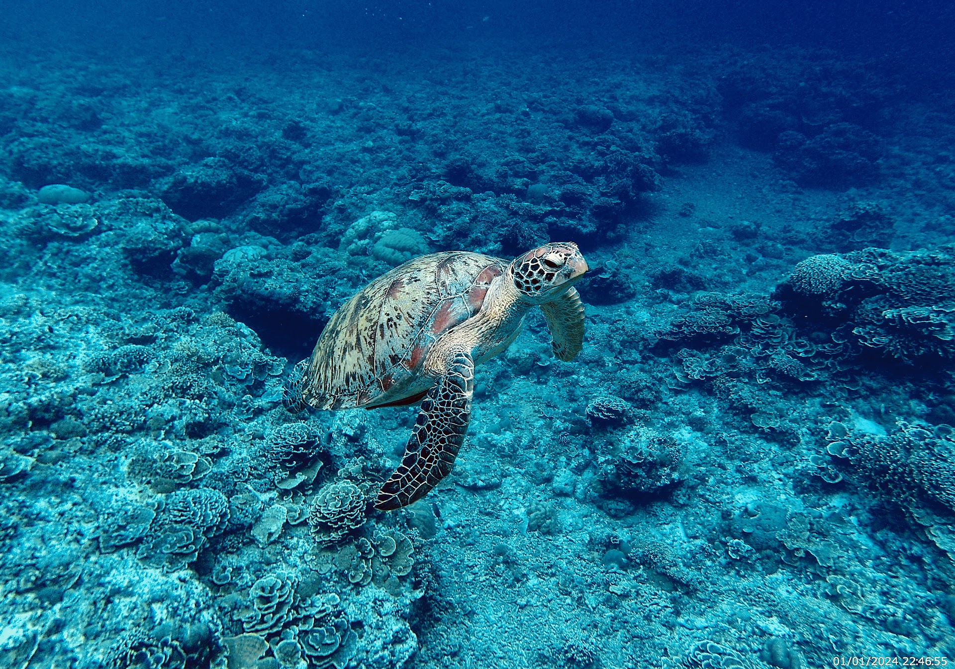 GILI SNORKELING CENTER