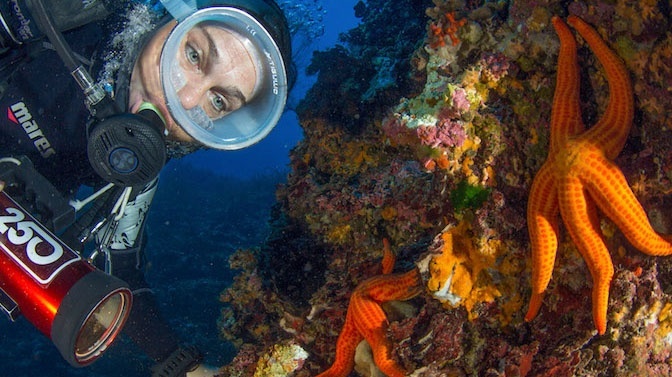 Bosa Diving Center