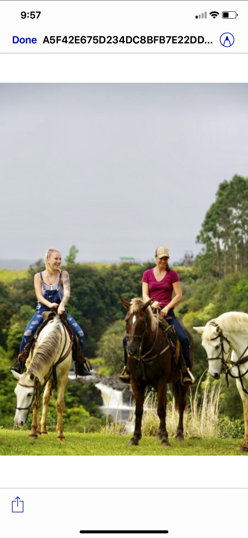 Wailea Horseback Adventure - Waipio Ridge Stables LLC