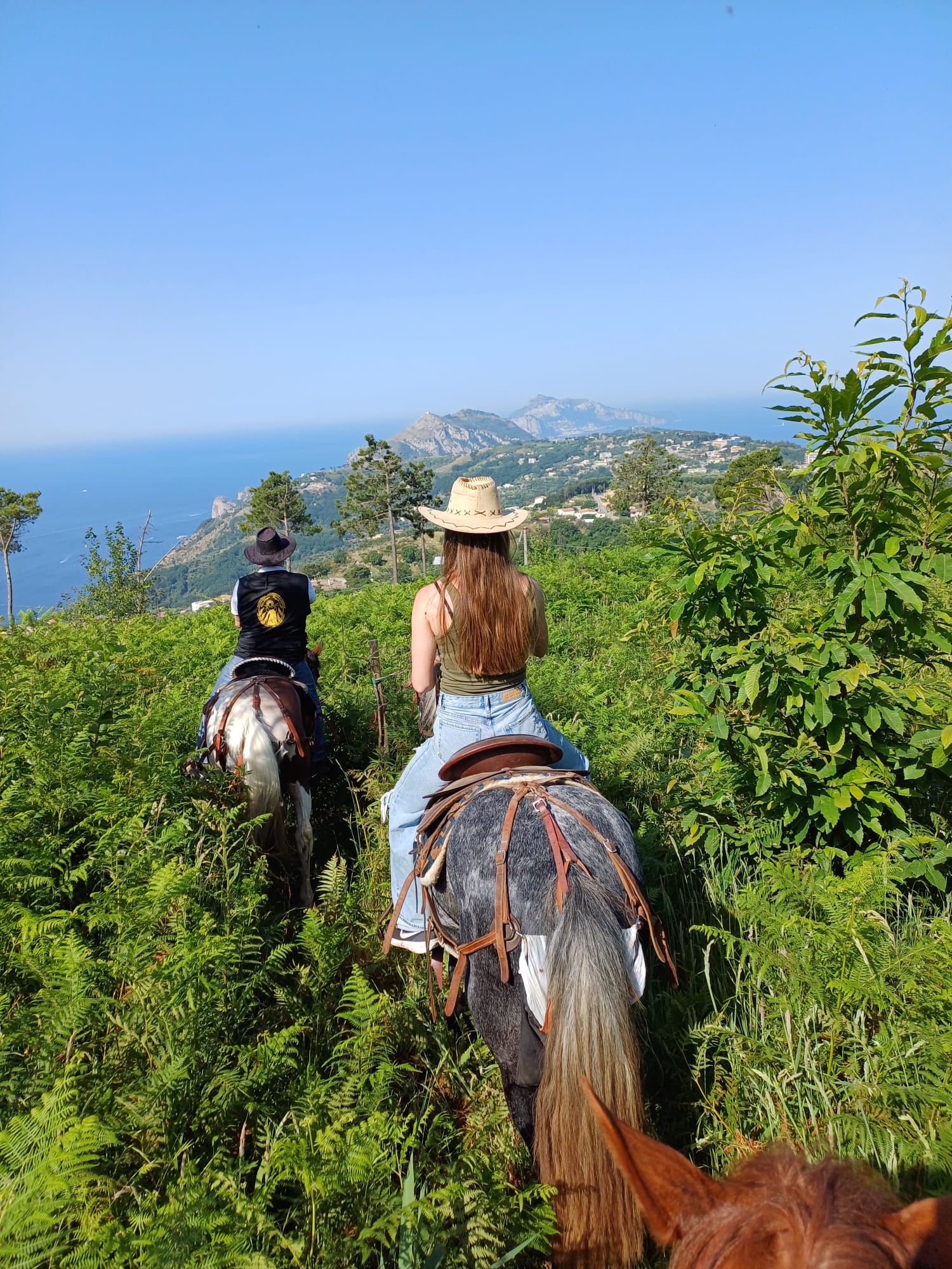 Horse Horizons (Orizzonti a cavallo)