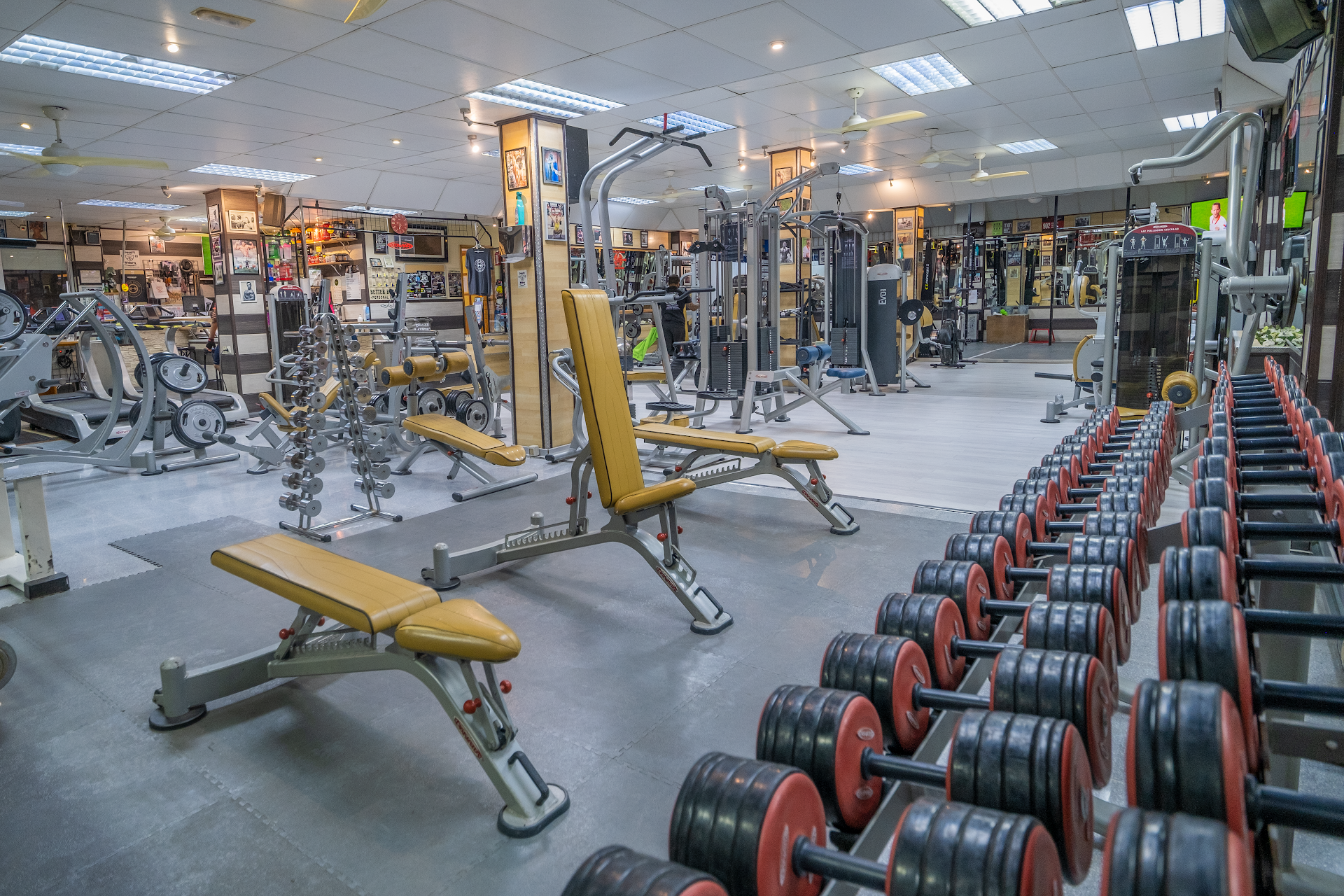 Gym Better Bodies