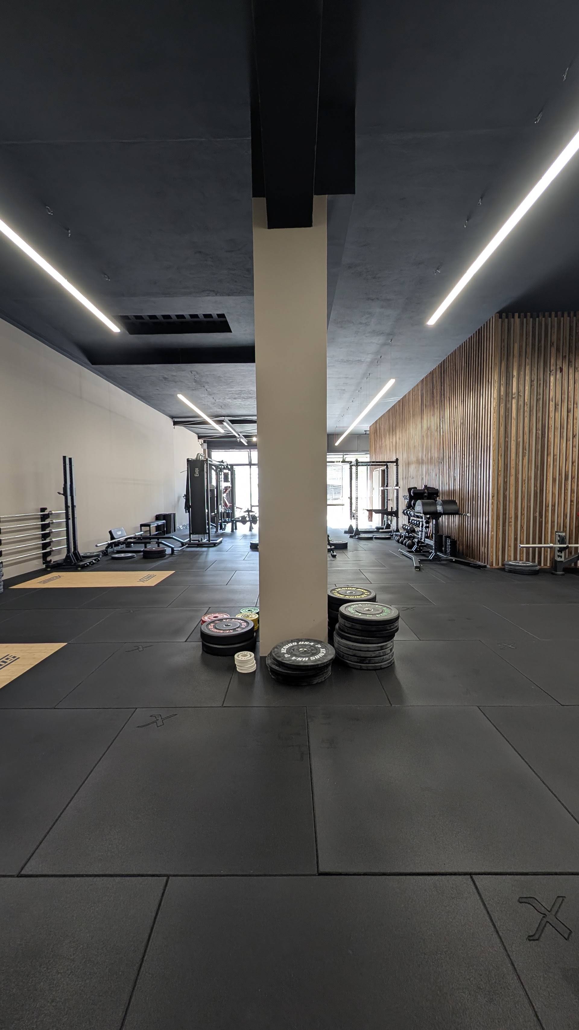 MOTUS health & performance