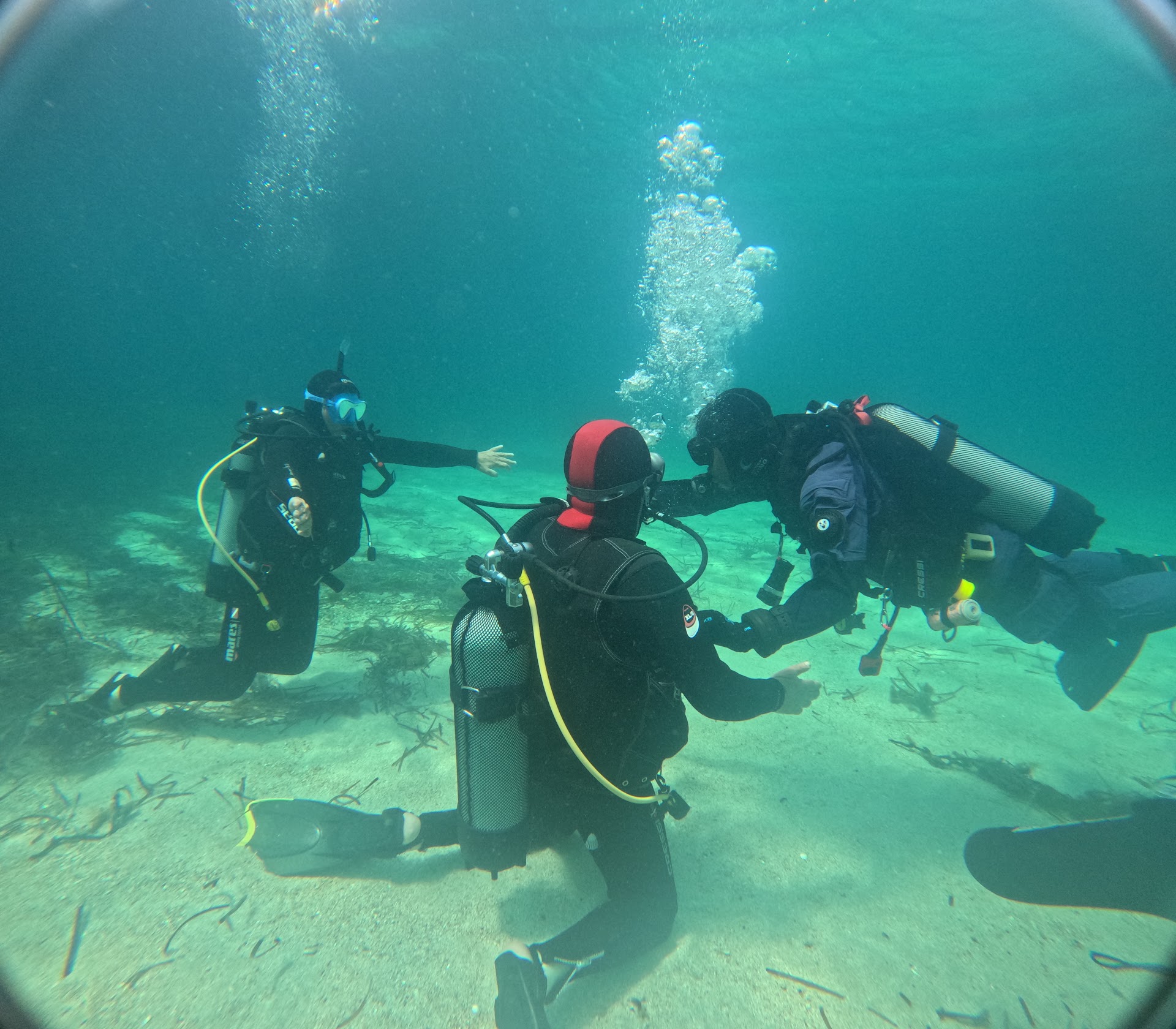 Discovery Diving Sardegna