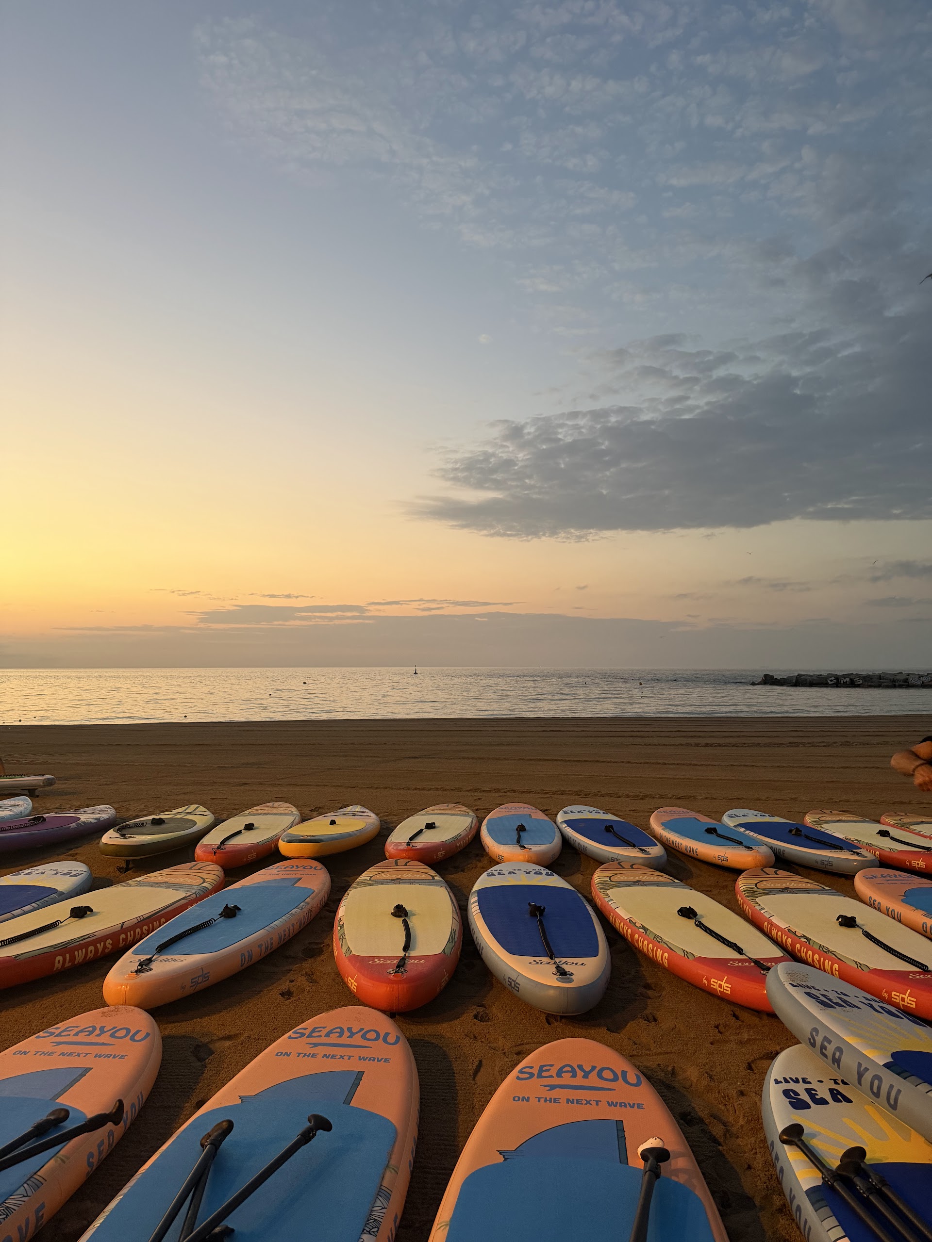 SEA YOU Paddle Surf School