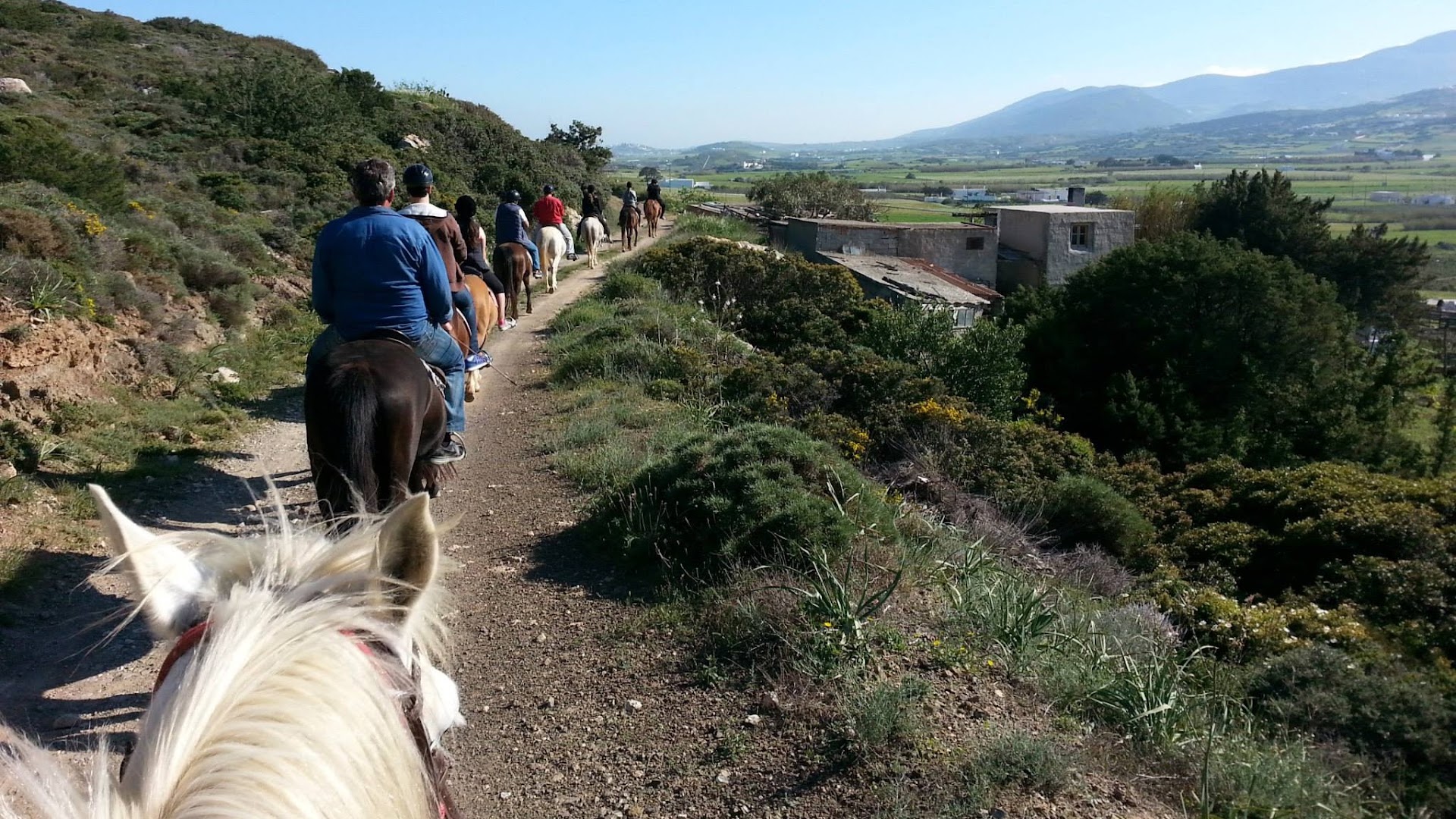 Paros Horse Riding Centre