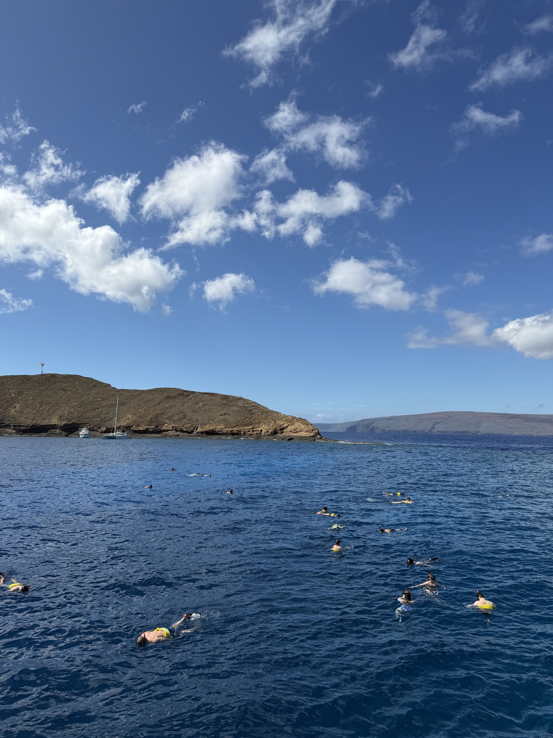 Alii Nui Sailing Charters