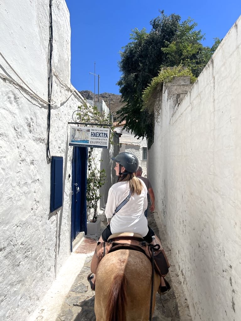 Argyris Horses