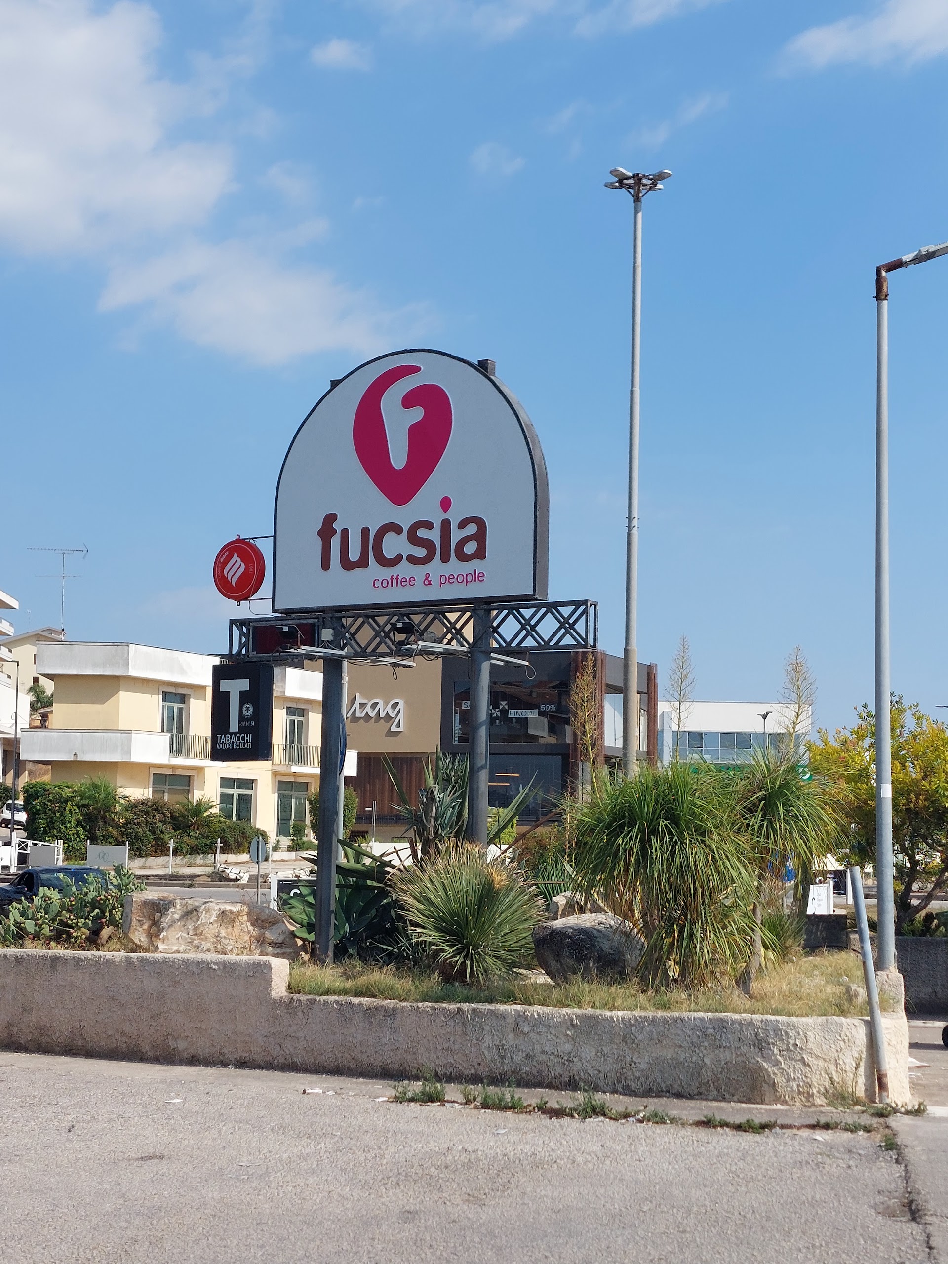 Bar Fucsia