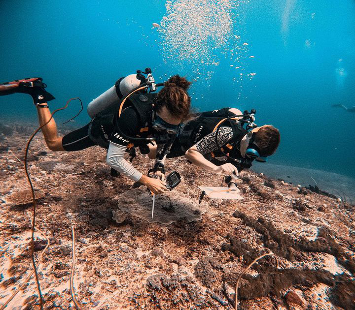 BLUE MARLIN CONSERVATION