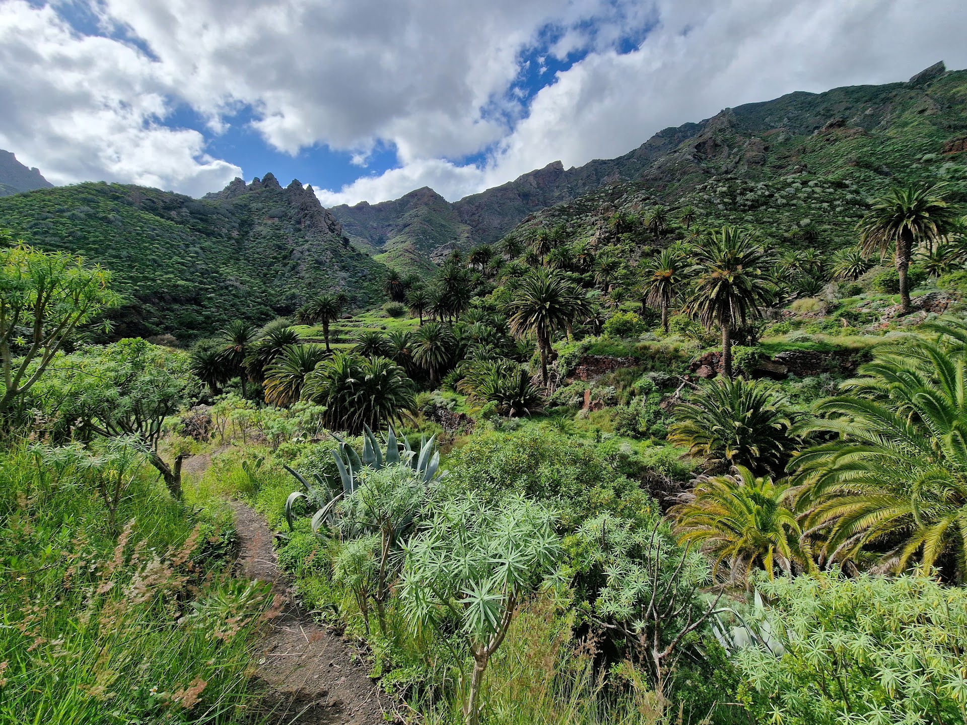 Sendero del Barranco del Cercado de San Andrés