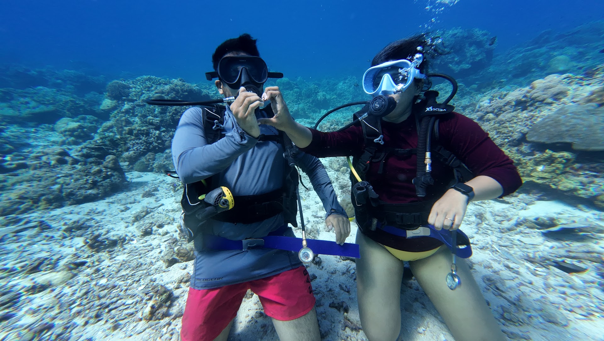 Diving & Snorkeling in center