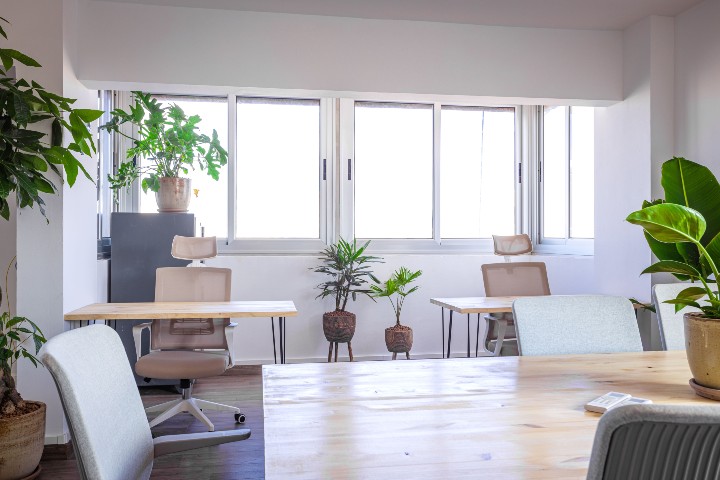 Coco Tropical coworking
