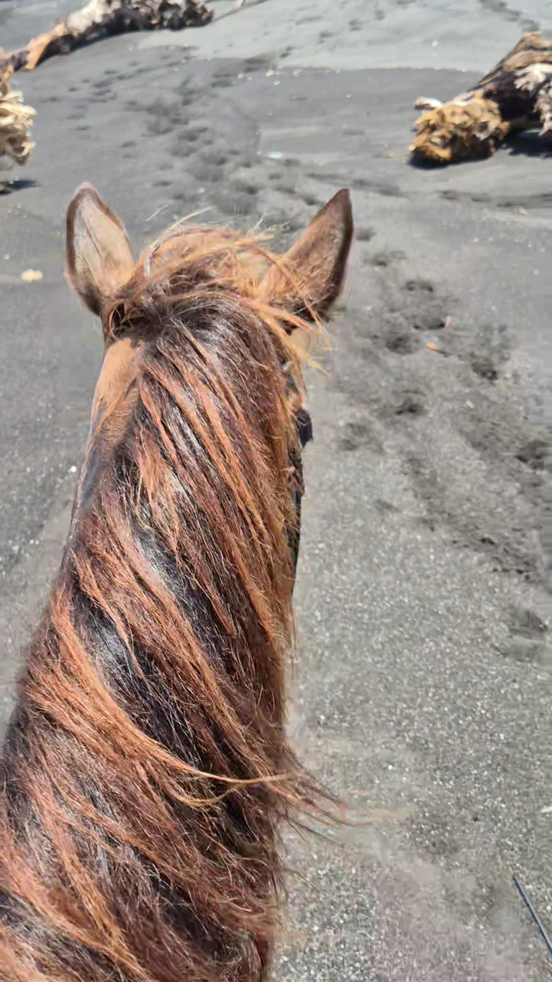 PT.Bali Sunrise Adventure - Horse Riding Bali
