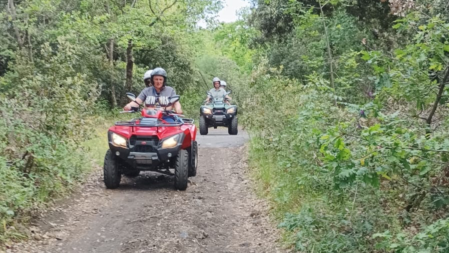 Etna Quad Excursion