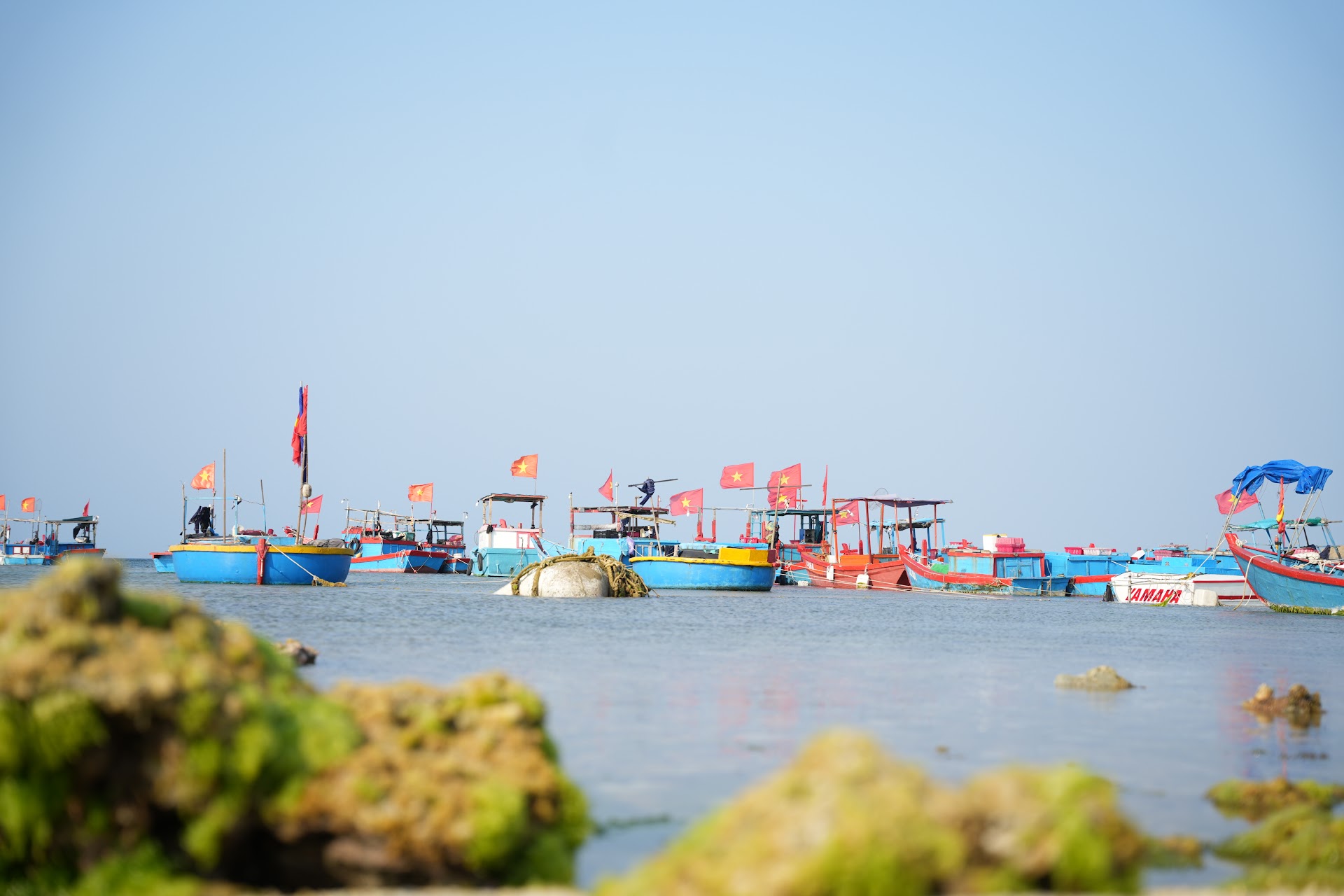 Yacht Charter in Ly Son Town