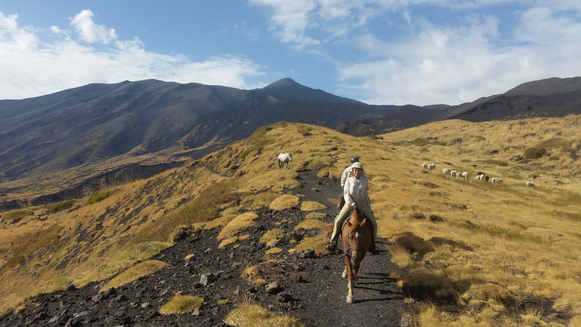 Sicily Horse Adventure