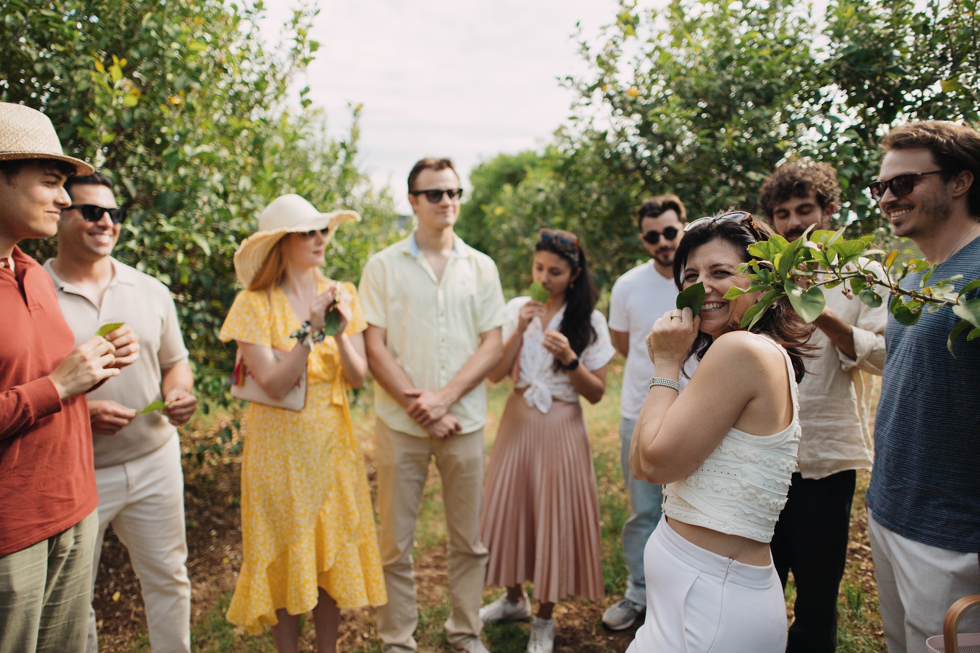 Favola Olive Oil tasting - Agricola Oliva / lemon tour / extra virgin olive oil shop