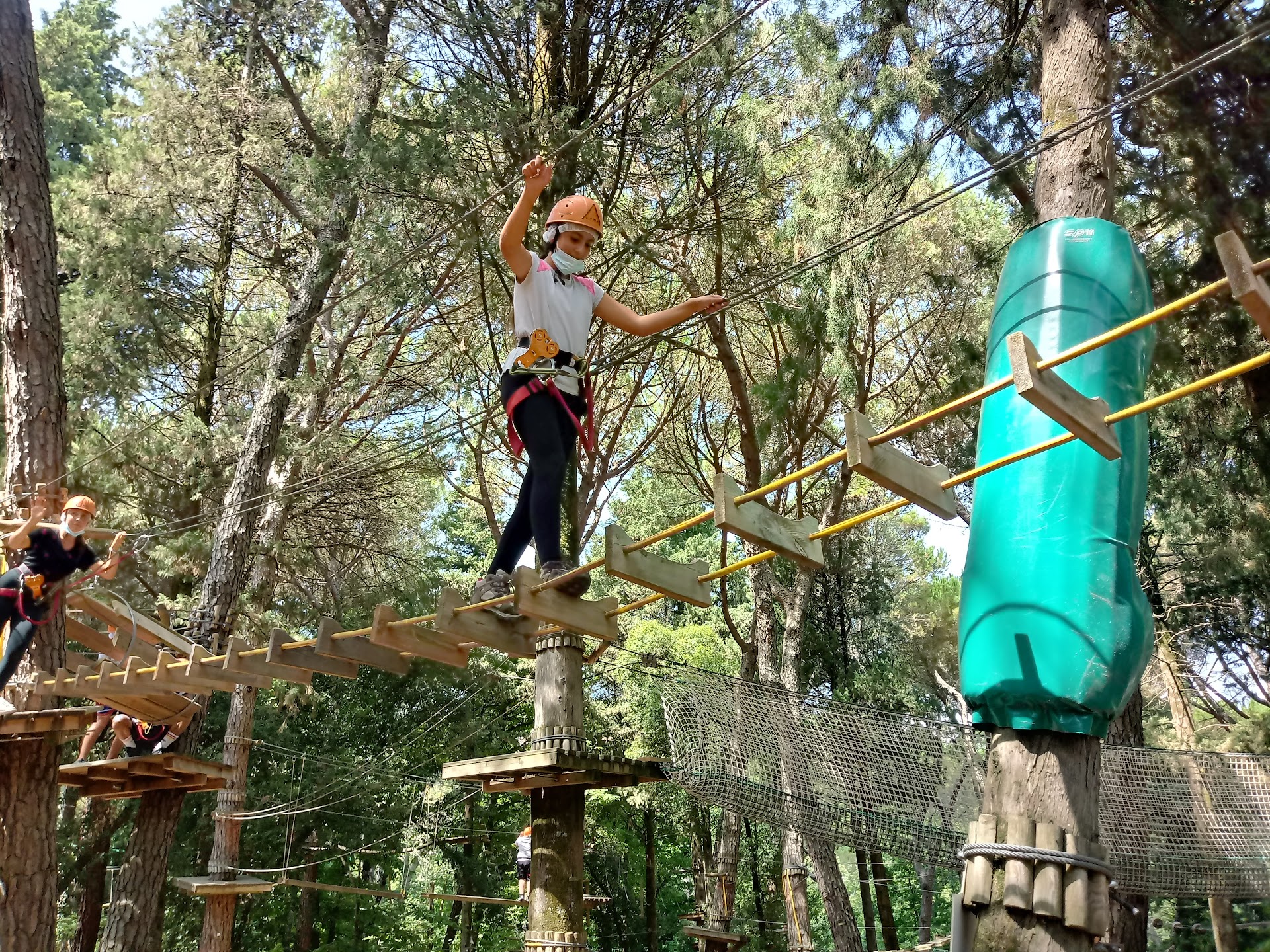 Parcallario