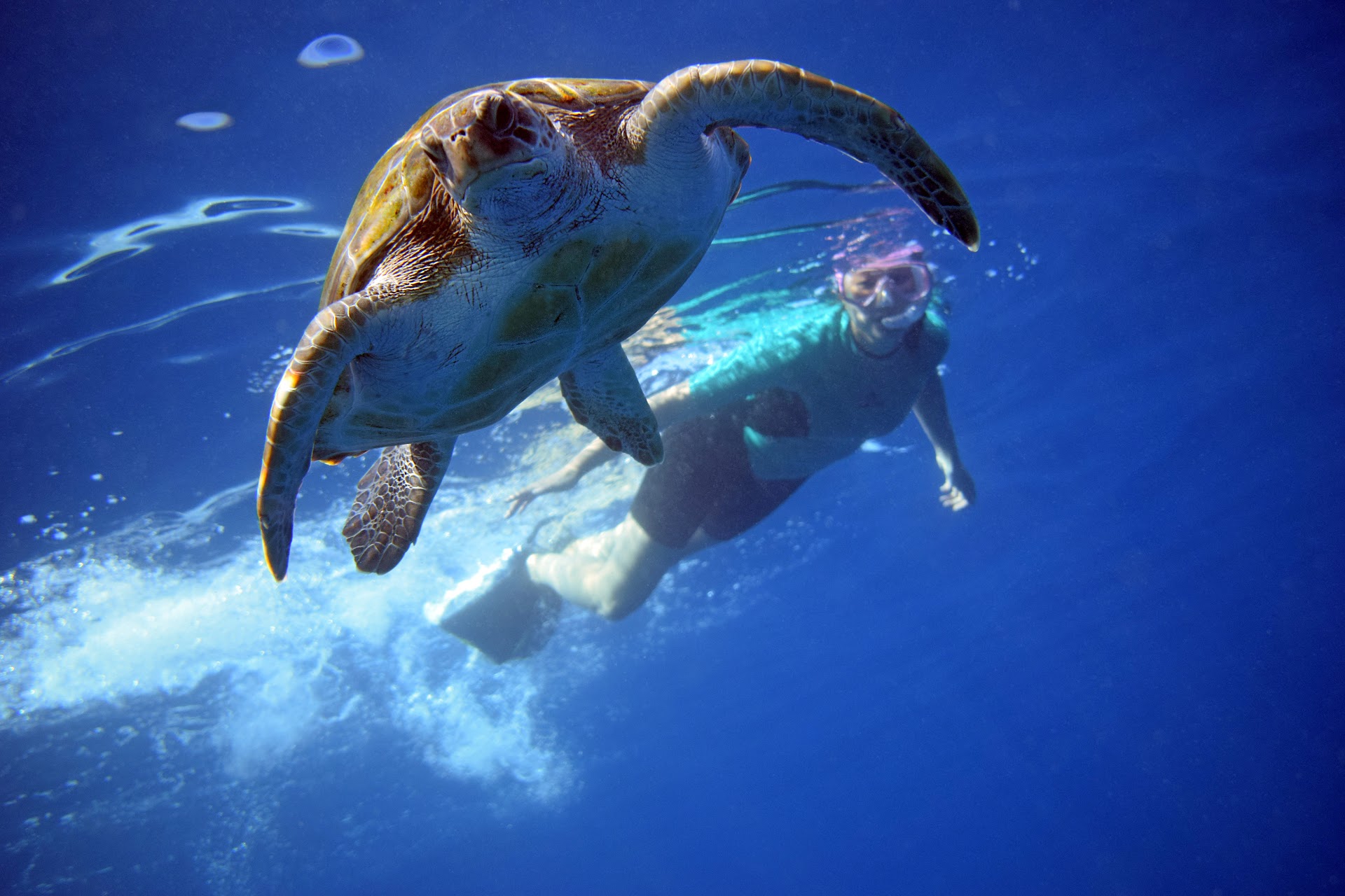 Xplore Tenerife Kayaking and Biking