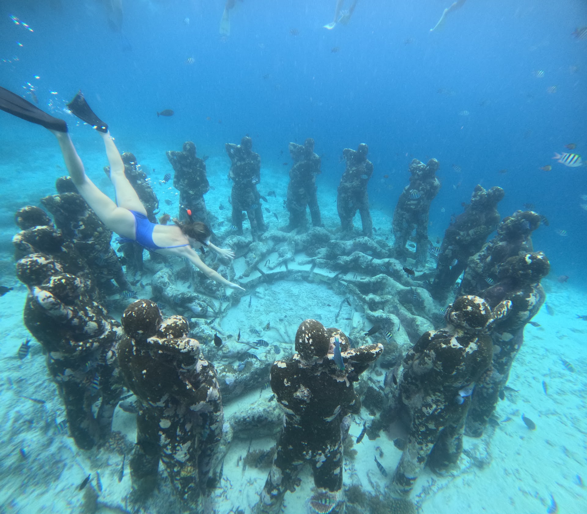 Snorkeling Gili island and Rent Bike (slowbro)