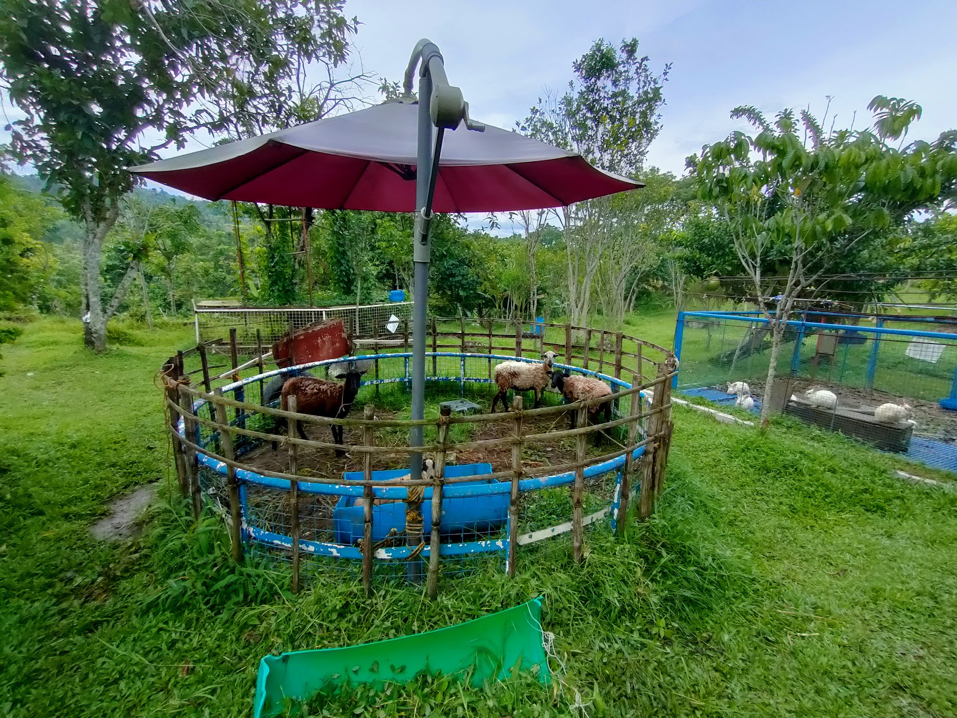 Adlawon Vacation Farm