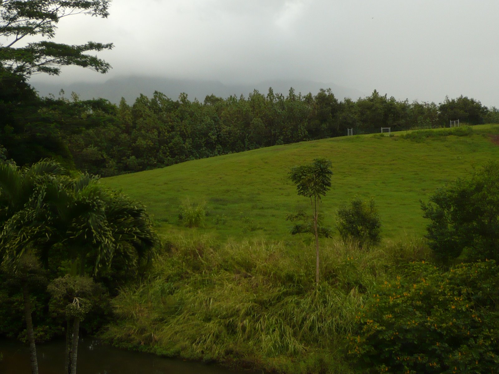 Waimea Canyon Middle School